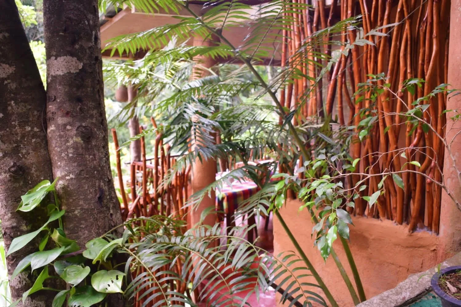 Restaurant/places to eat in Ella Green Cottages