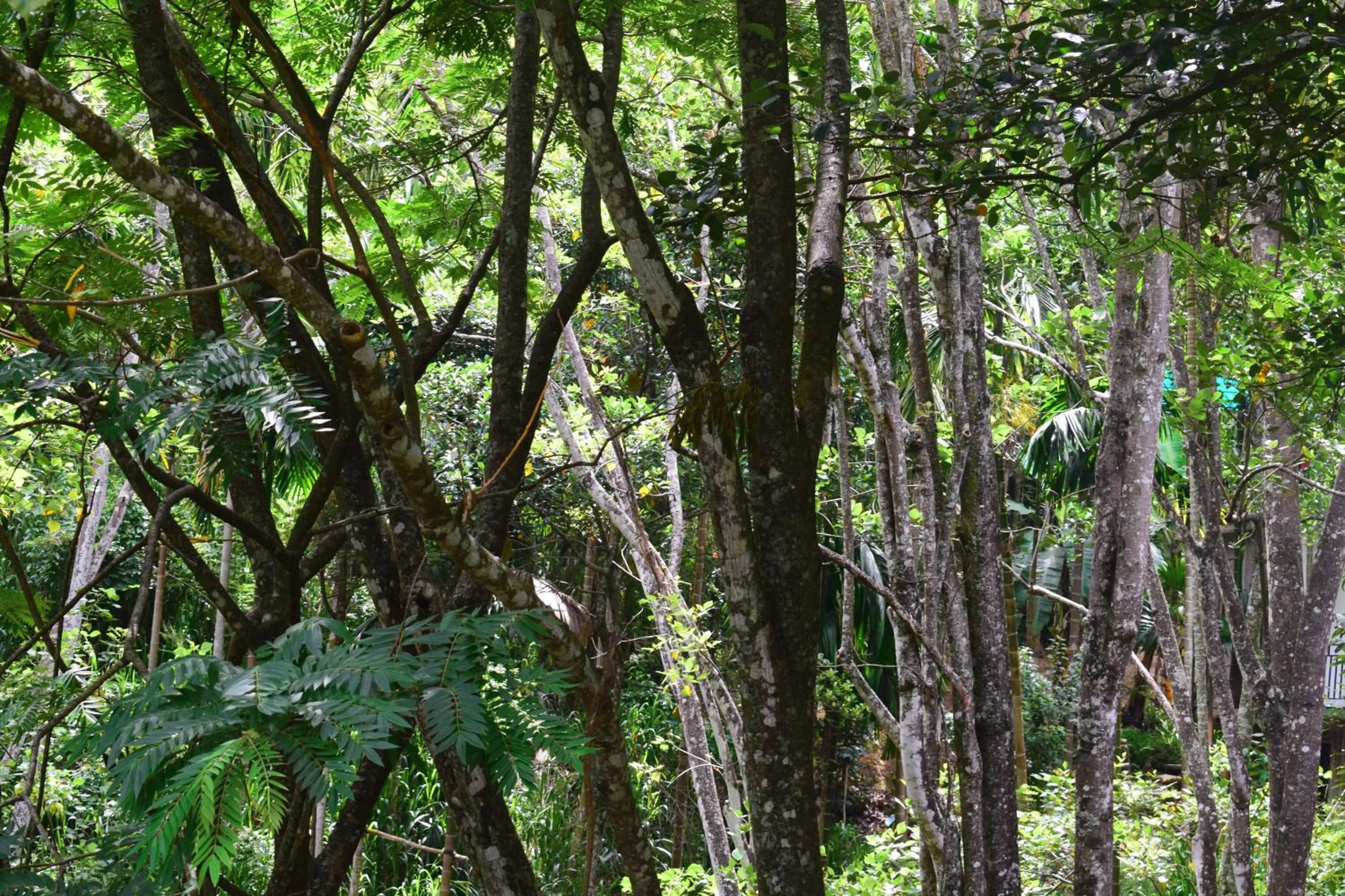 Off site in Ella Green Cottages