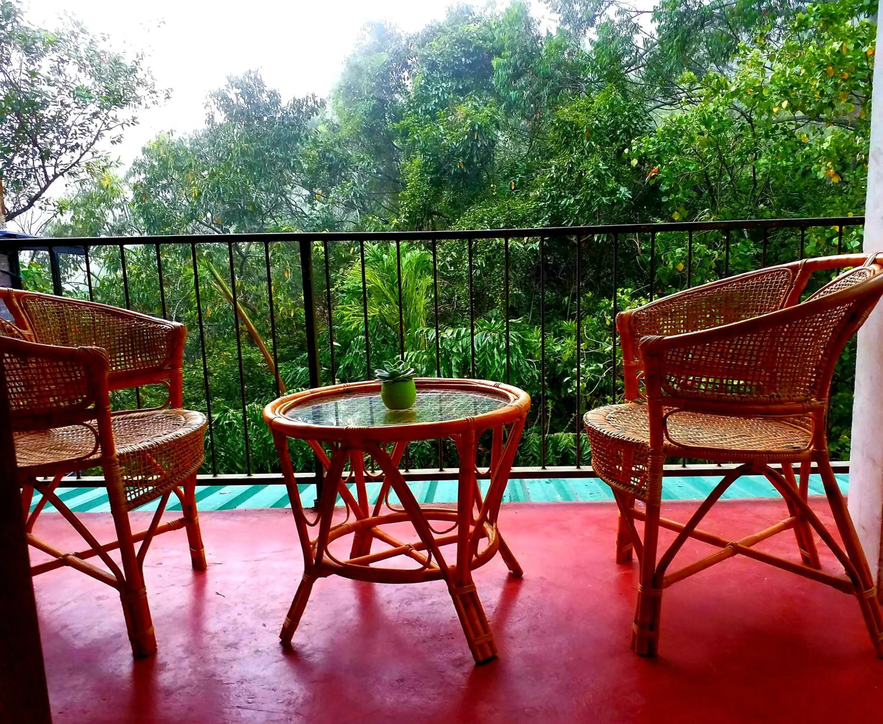 View (from property/room) in Ella Green Cottages