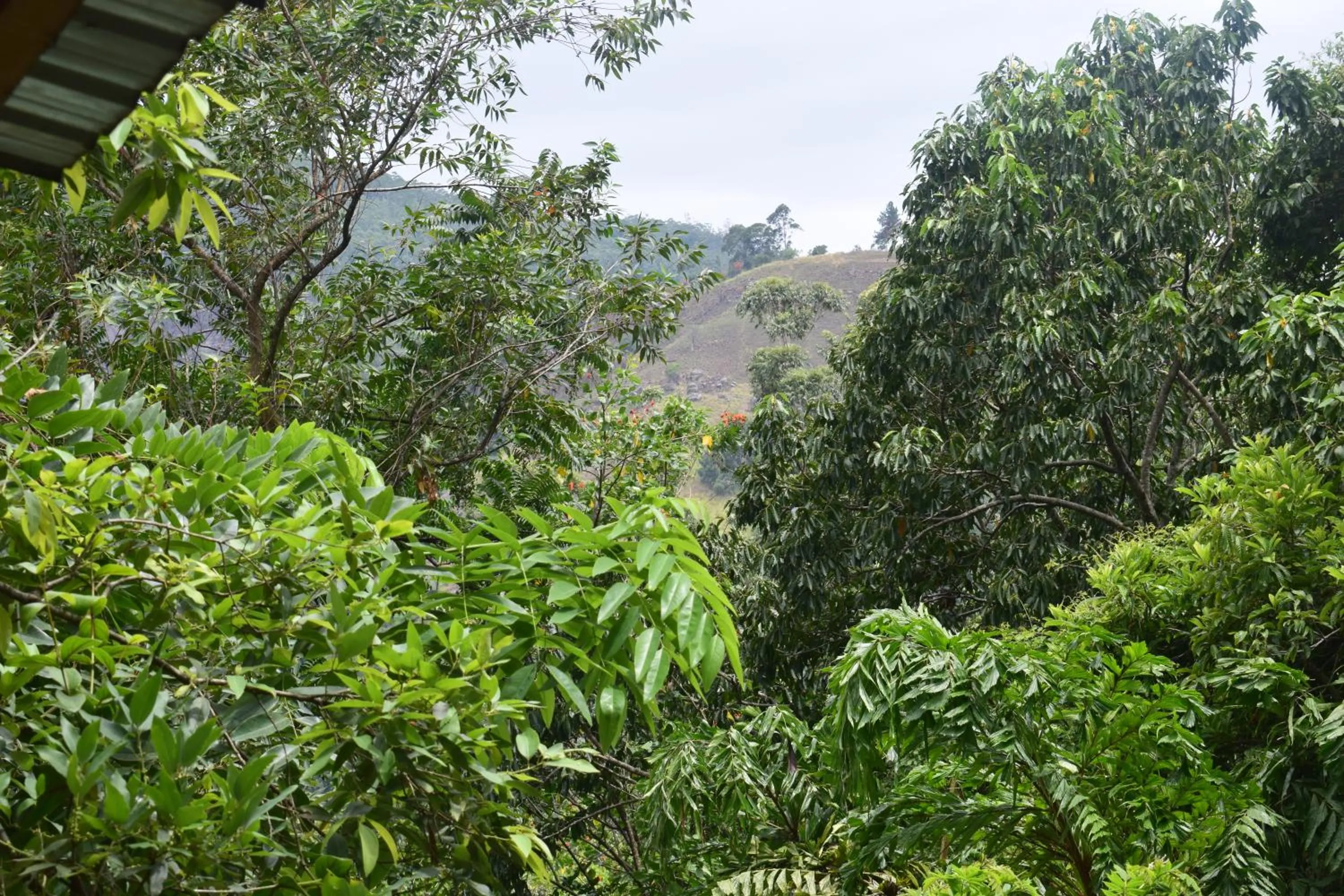 Off site in Ella Green Cottages