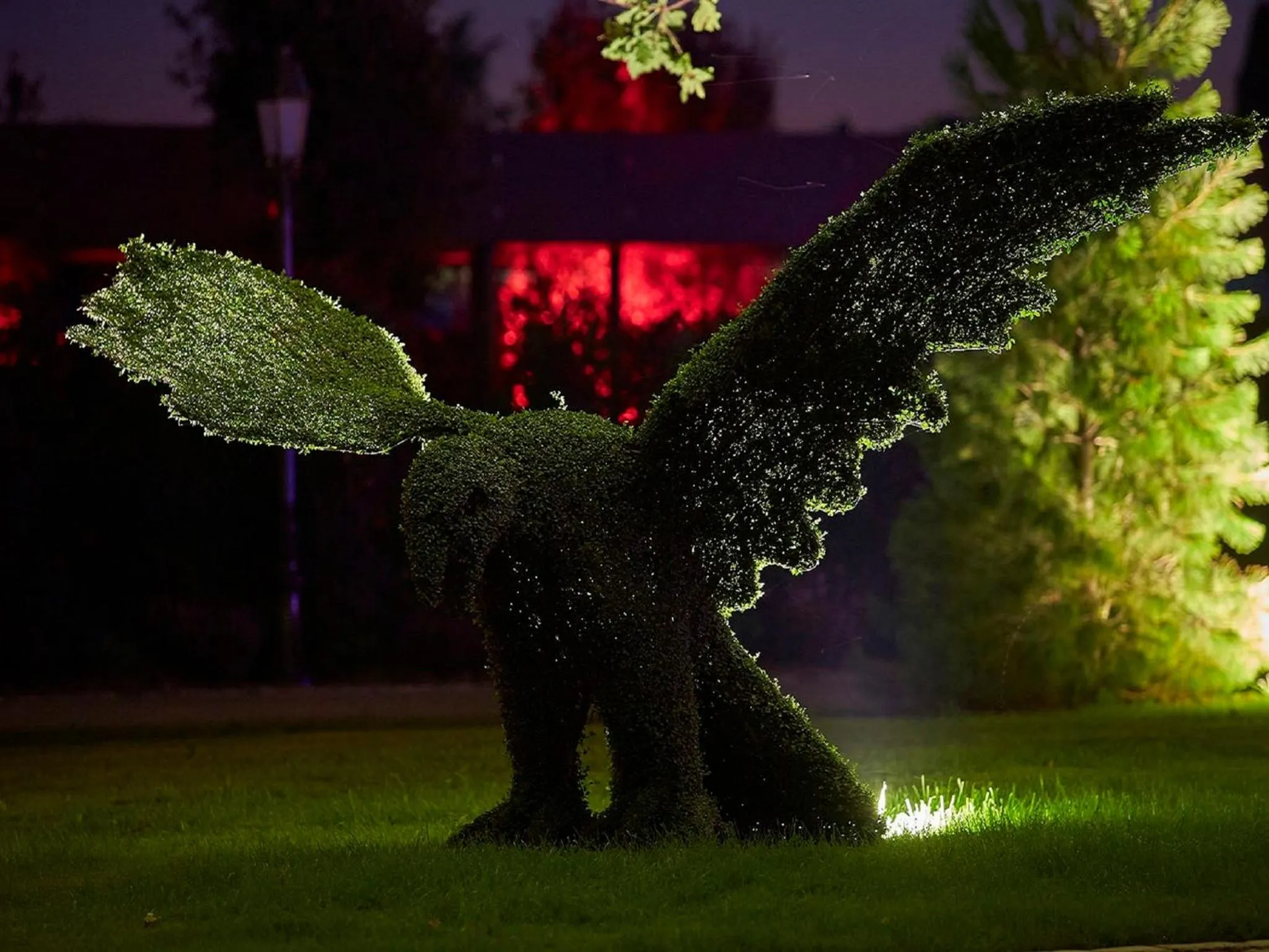 Night in Le Stelsia Resort