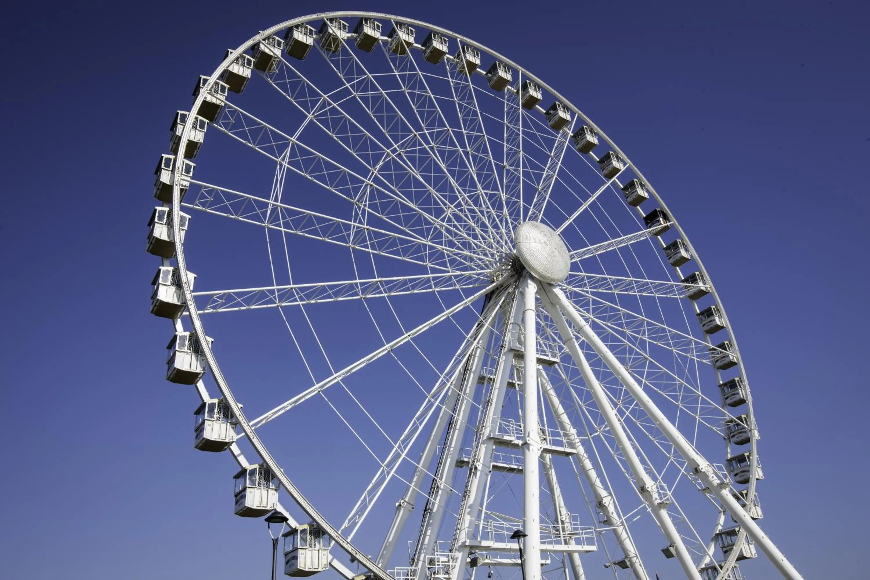 Entertainment in Residence Fellini