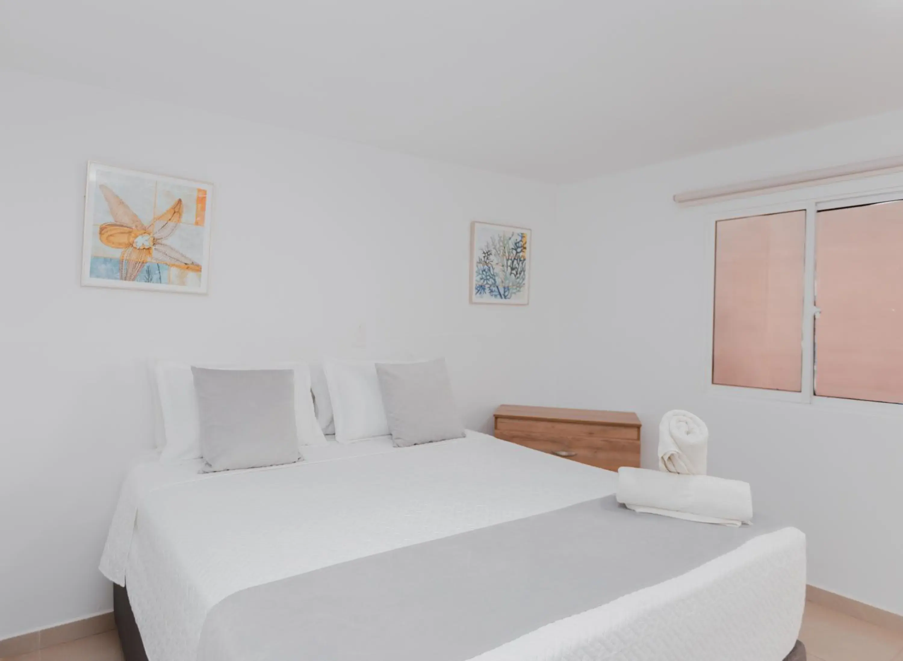 Double Room in Hotel Molino de Viento Double Room in Hotel Molino de Viento