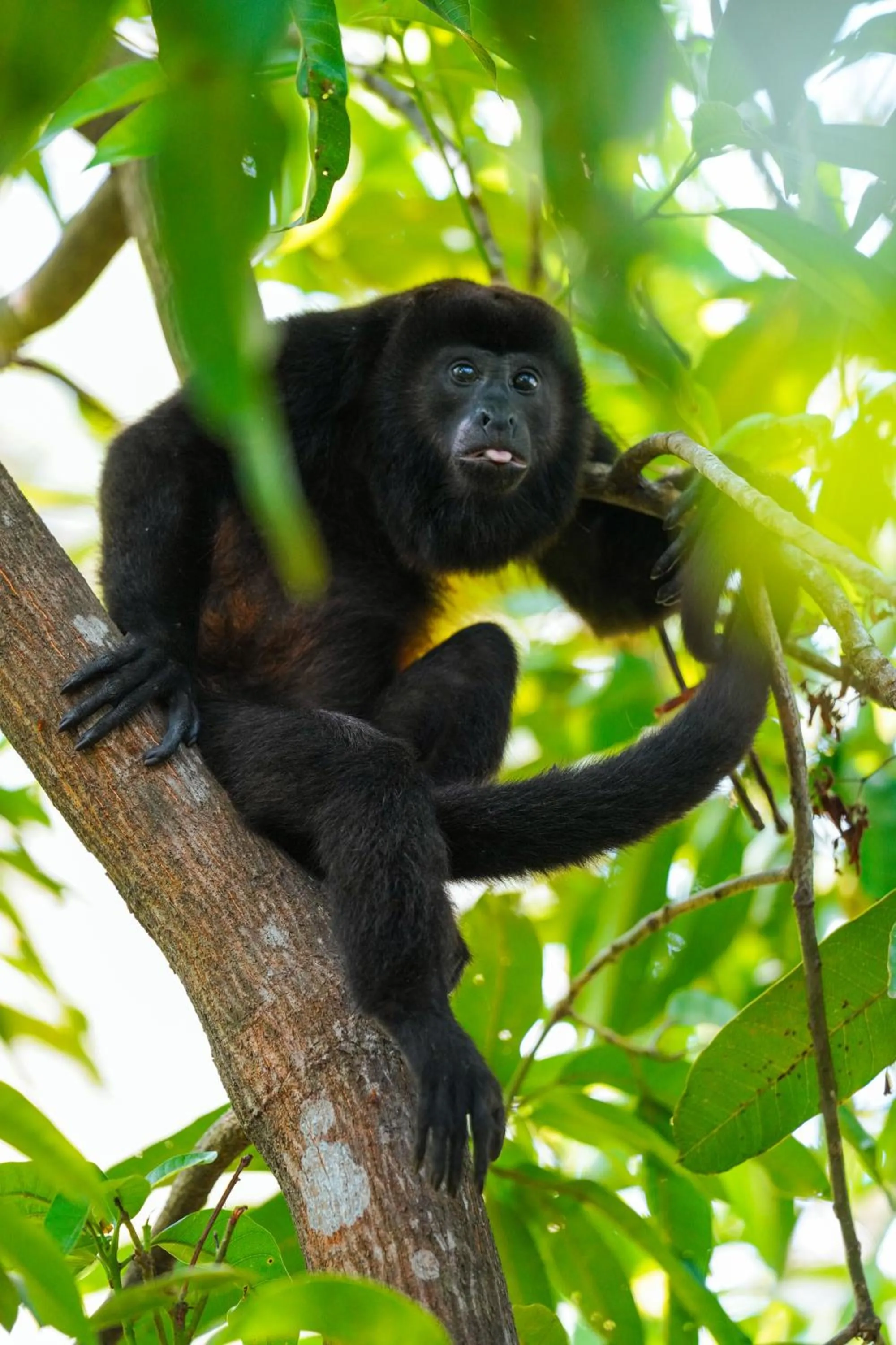 Natural landscape in Nammbú Beach Front Bungalows