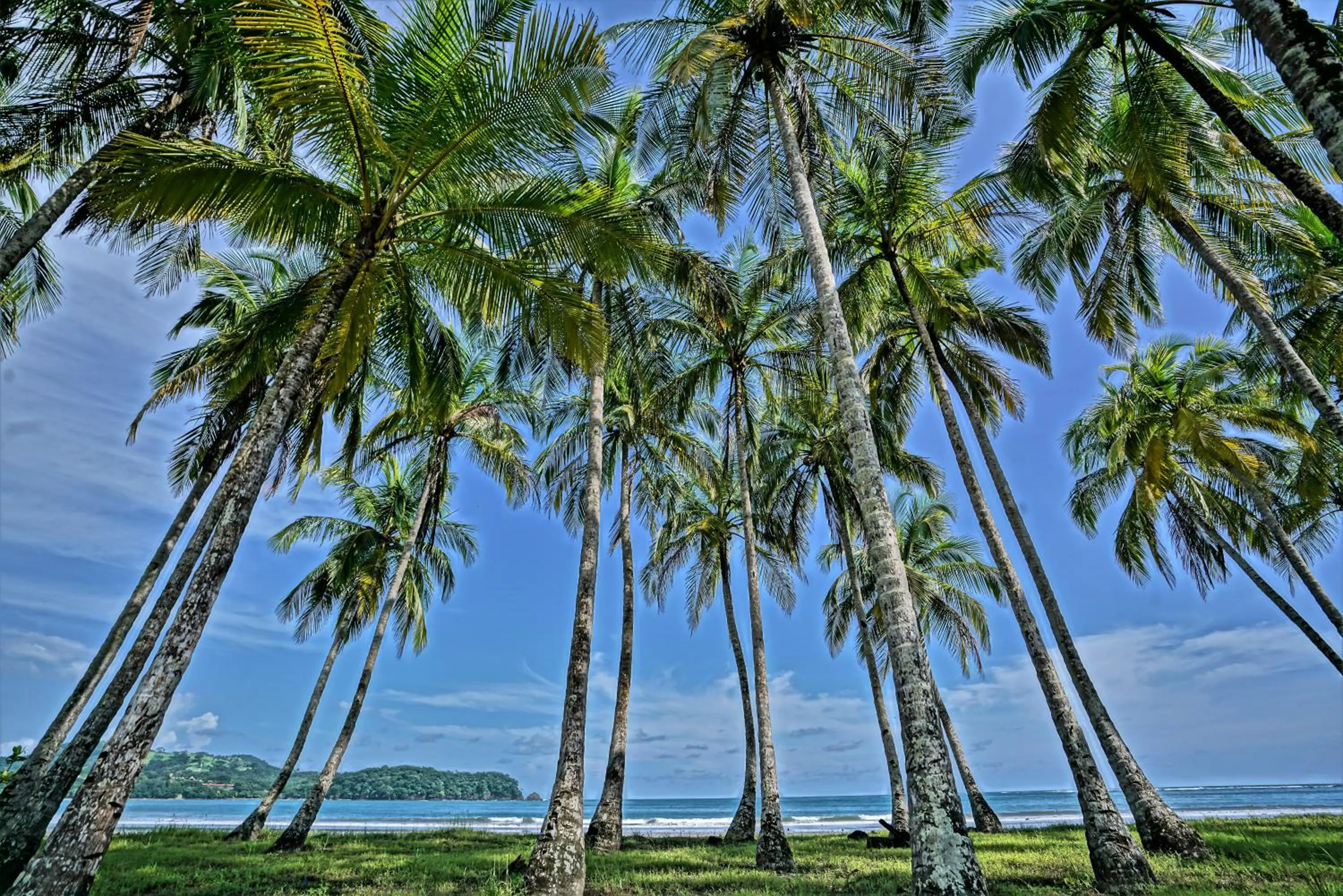 Natural landscape in Nammbú Beach Front Bungalows