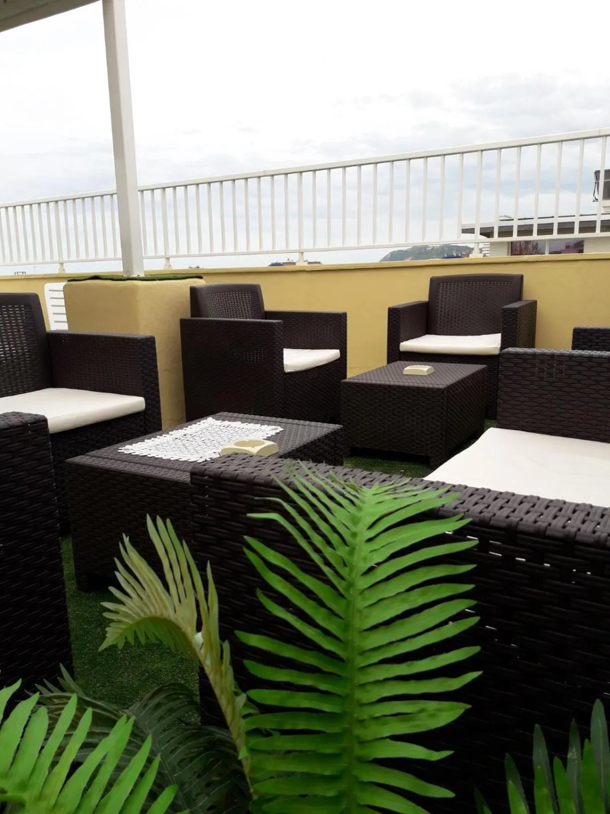 Garden in Hotel Maxim