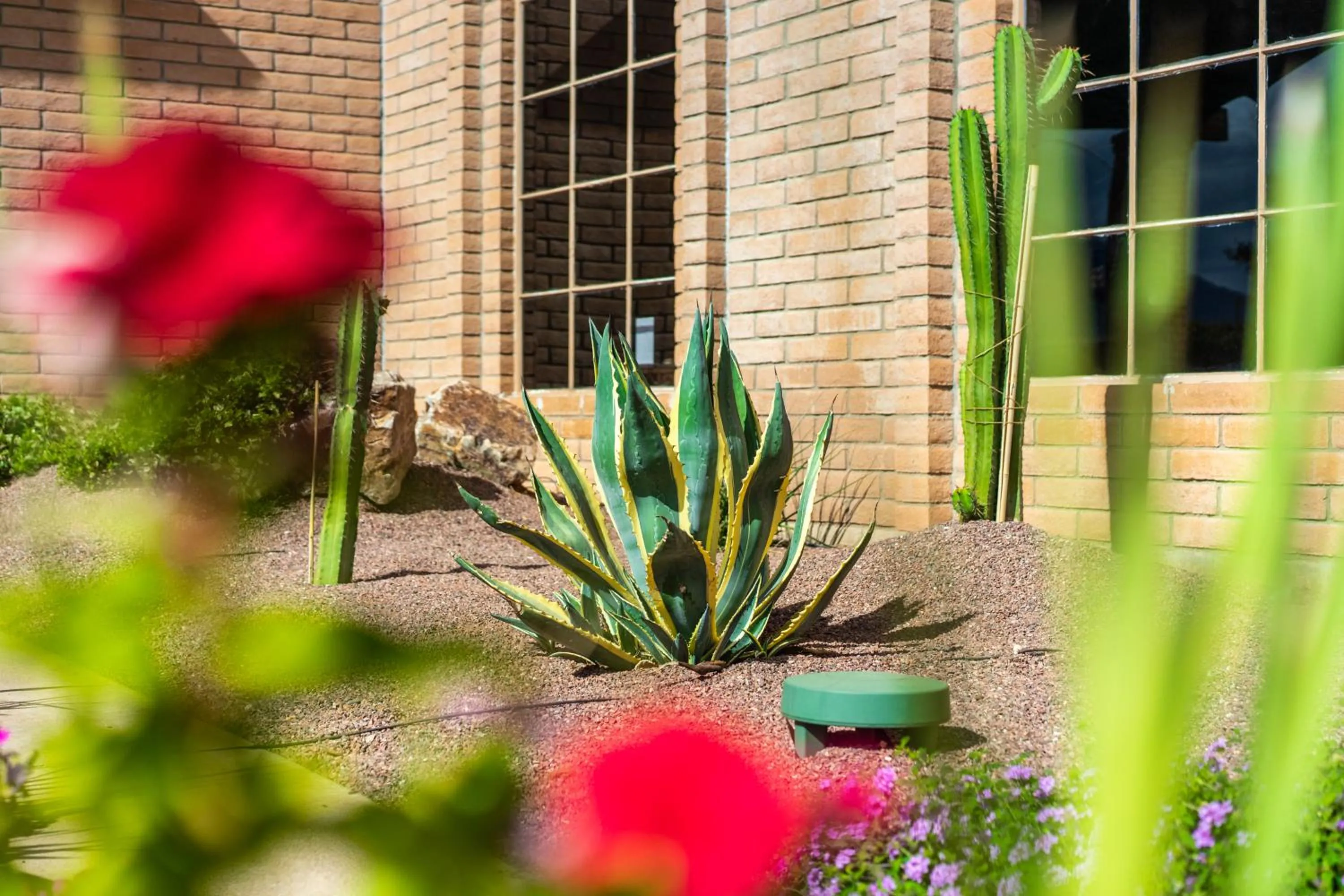 Garden in Clarion Inn