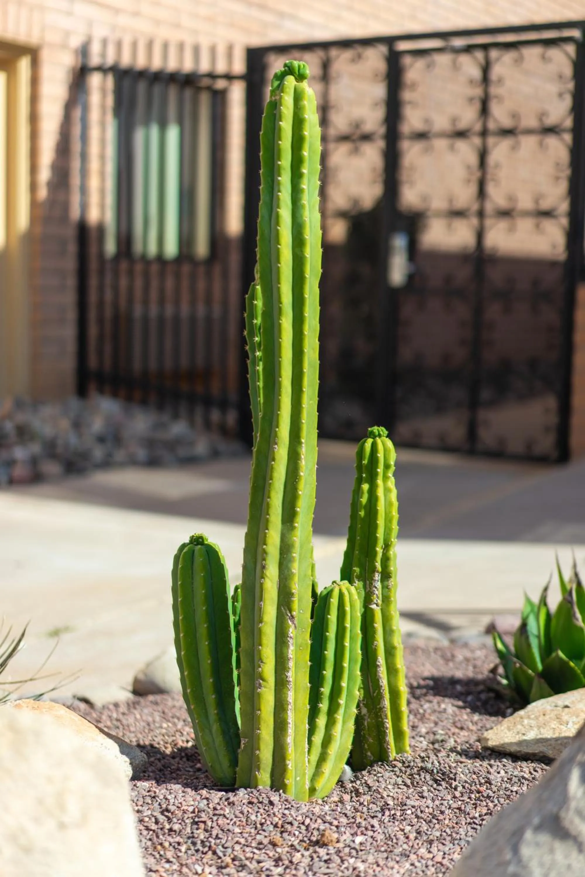 Natural landscape in Clarion Inn