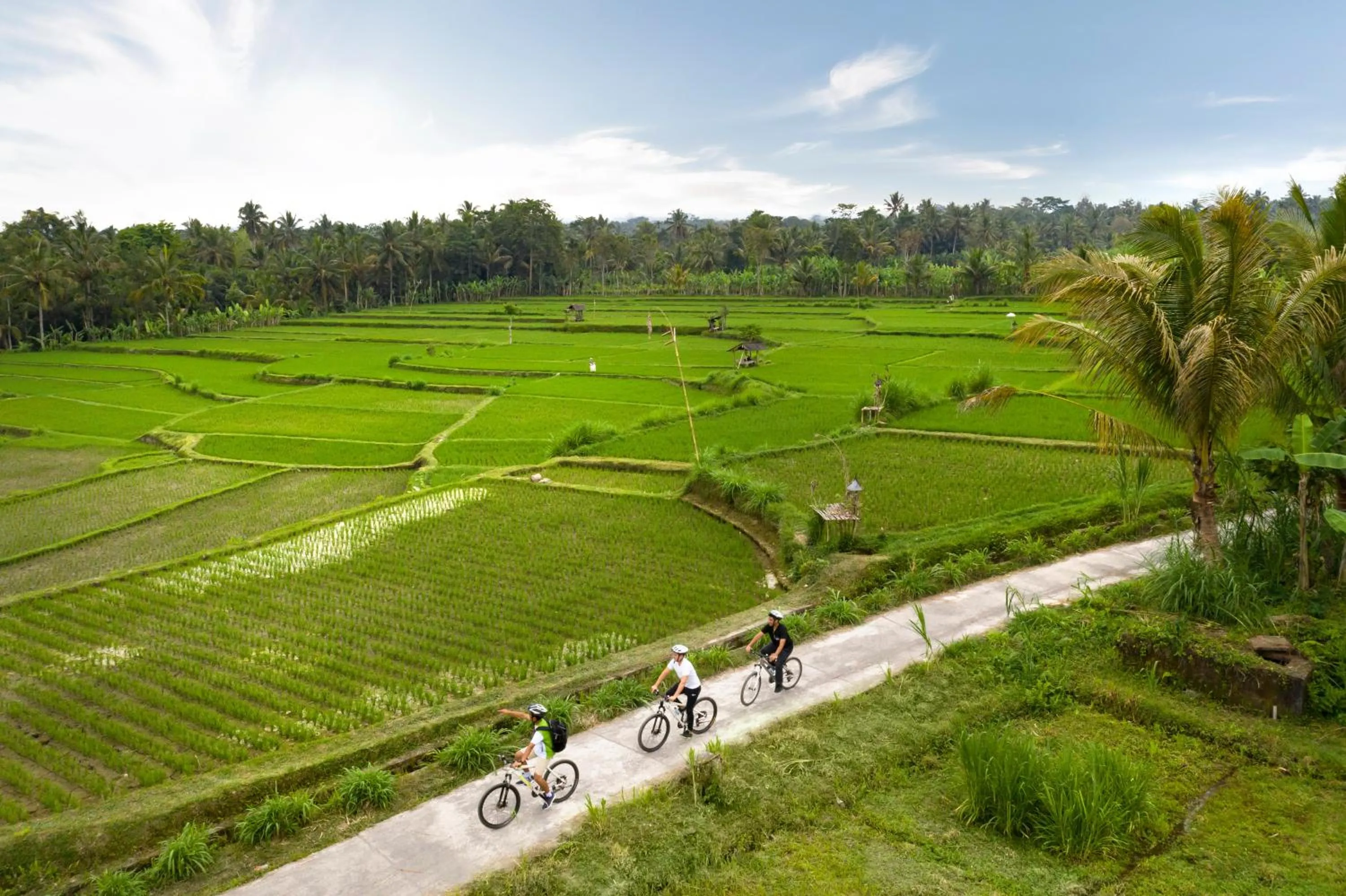 Natural landscape in Padma Resort Ubud