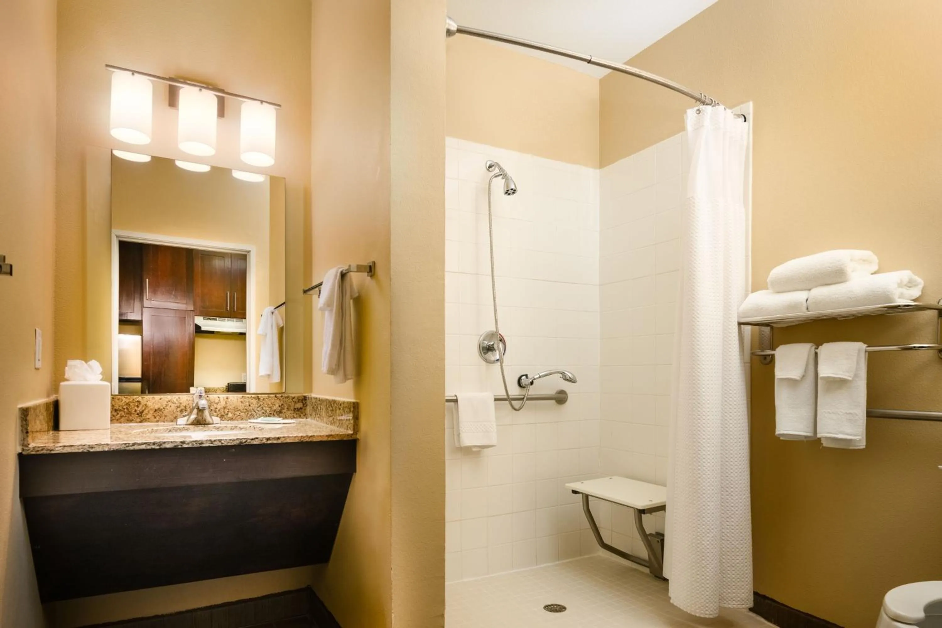 Bathroom in TownePlace Suites by Marriott Houston Galleria Area