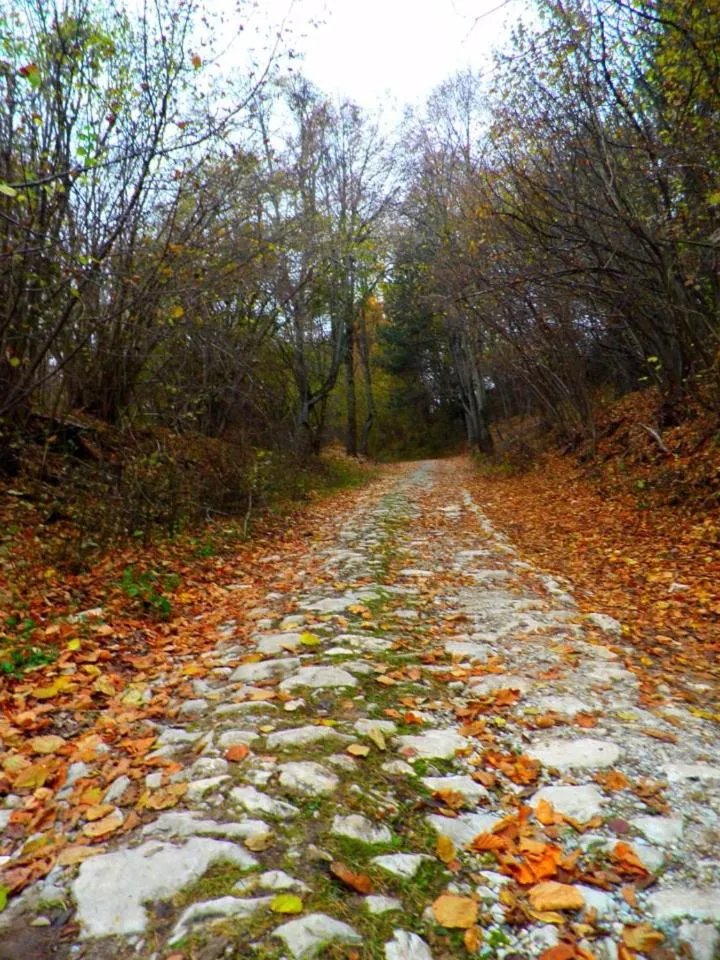 Hiking in Aloni Toy Kir Thanasi Hotel & Spa