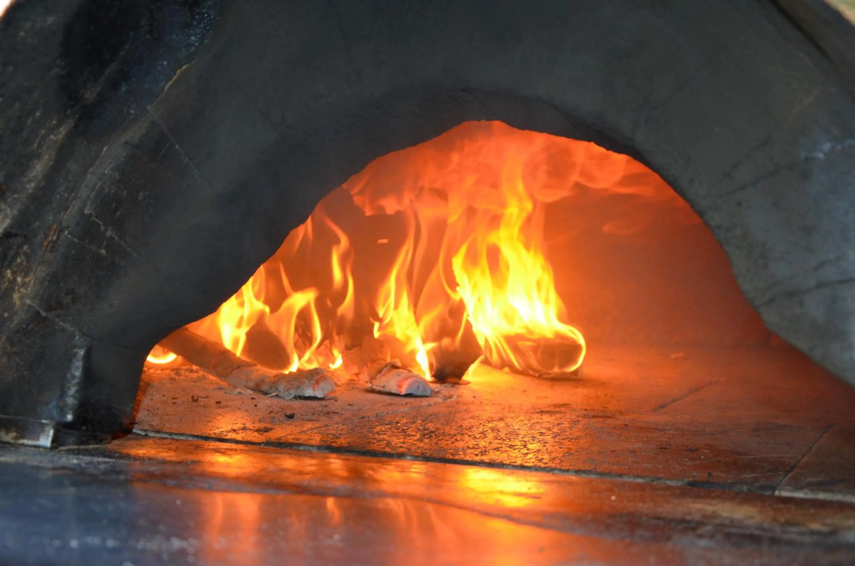 Decorative detail in Hotel Nuova Orchidea