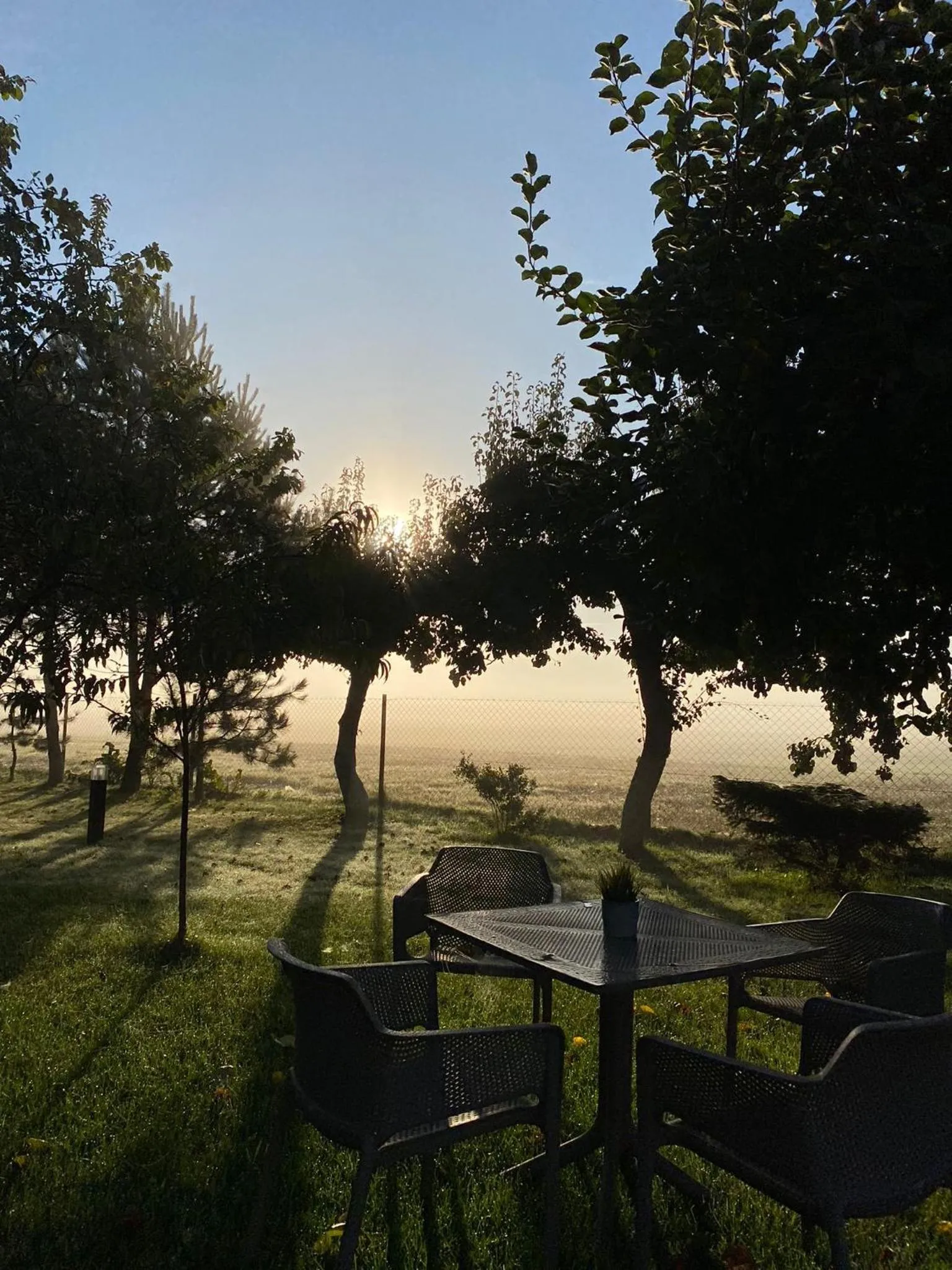 Spring in Willa Polanka