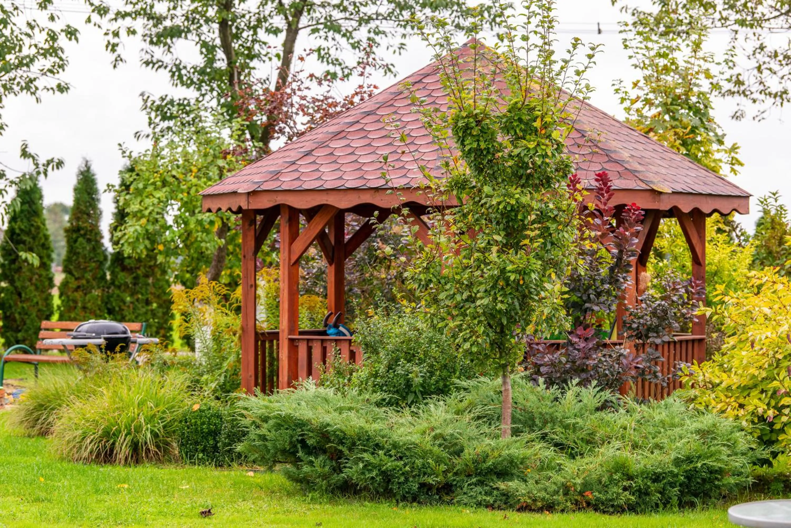 Garden in Willa Polanka