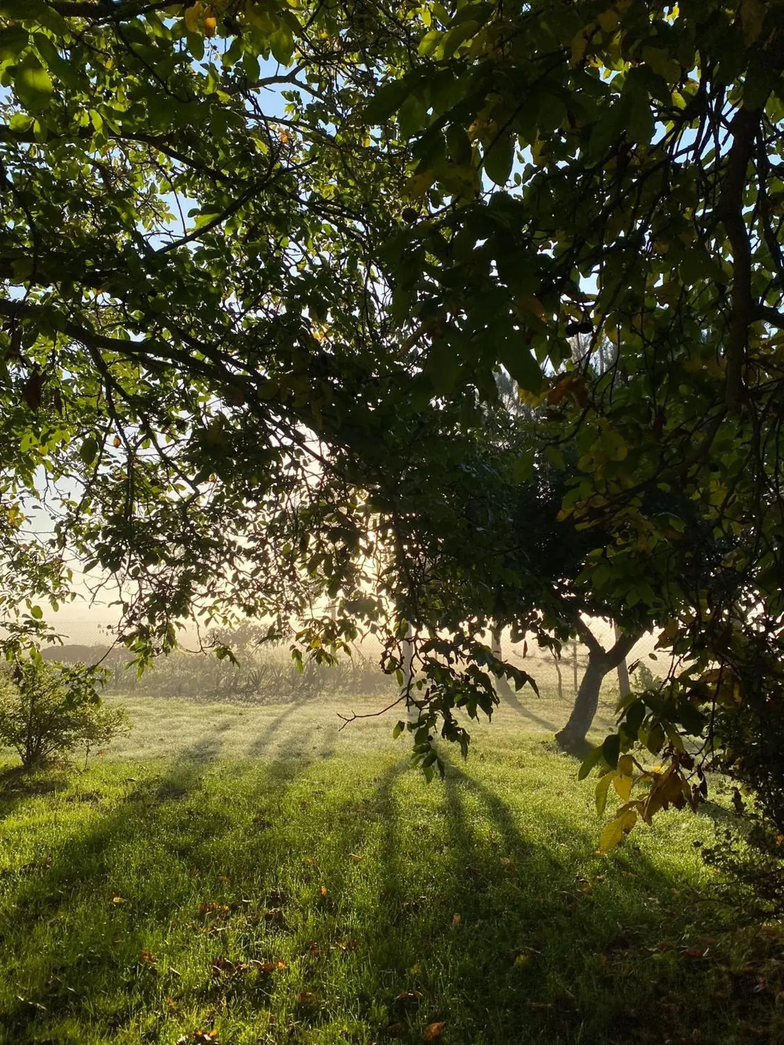 One-Bedroom Apartment - single occupancy in Willa Polanka One-Bedroom Apartment - single occupancy in Willa Polanka