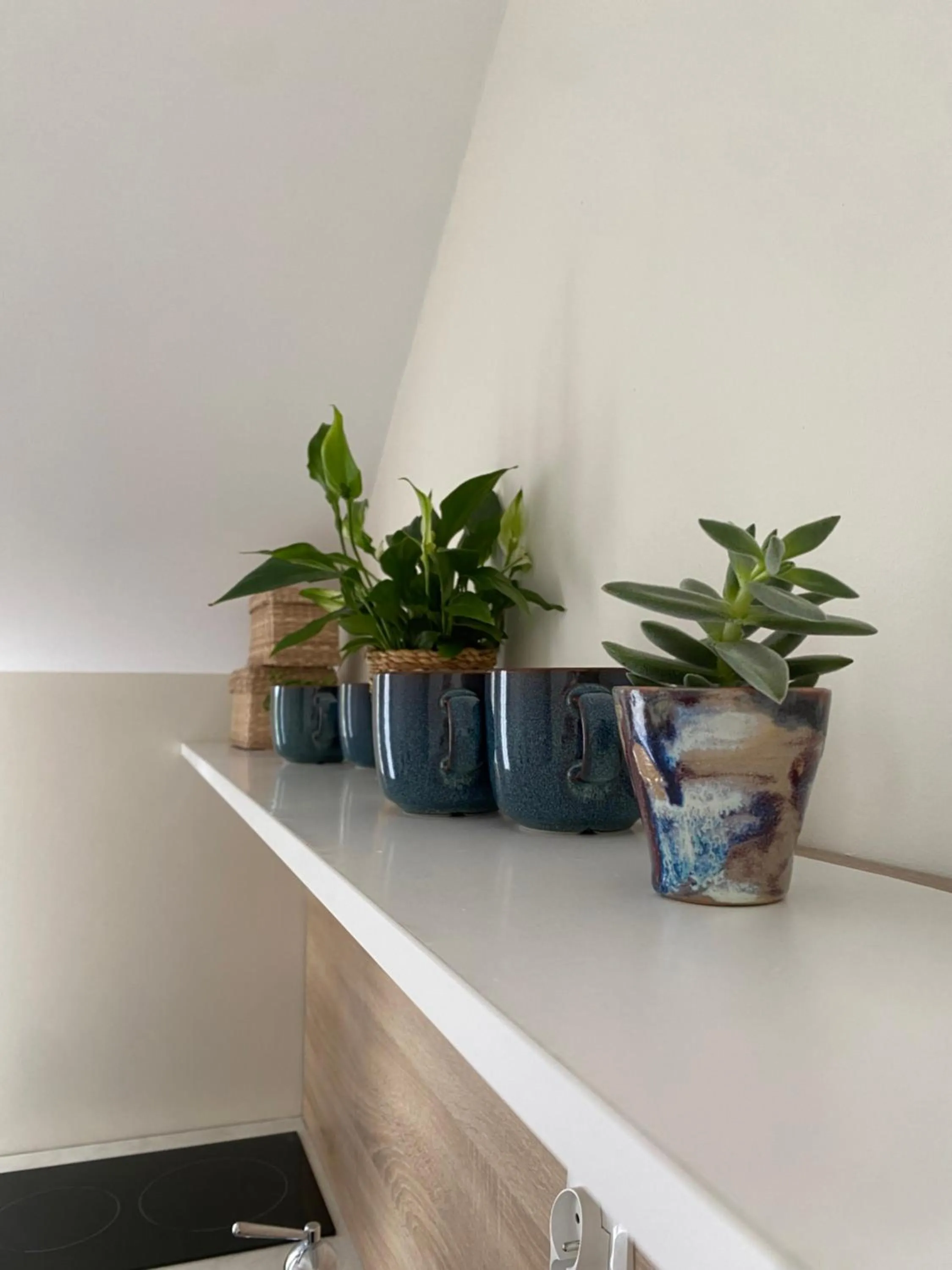 Kitchen or kitchenette in Willa Polanka