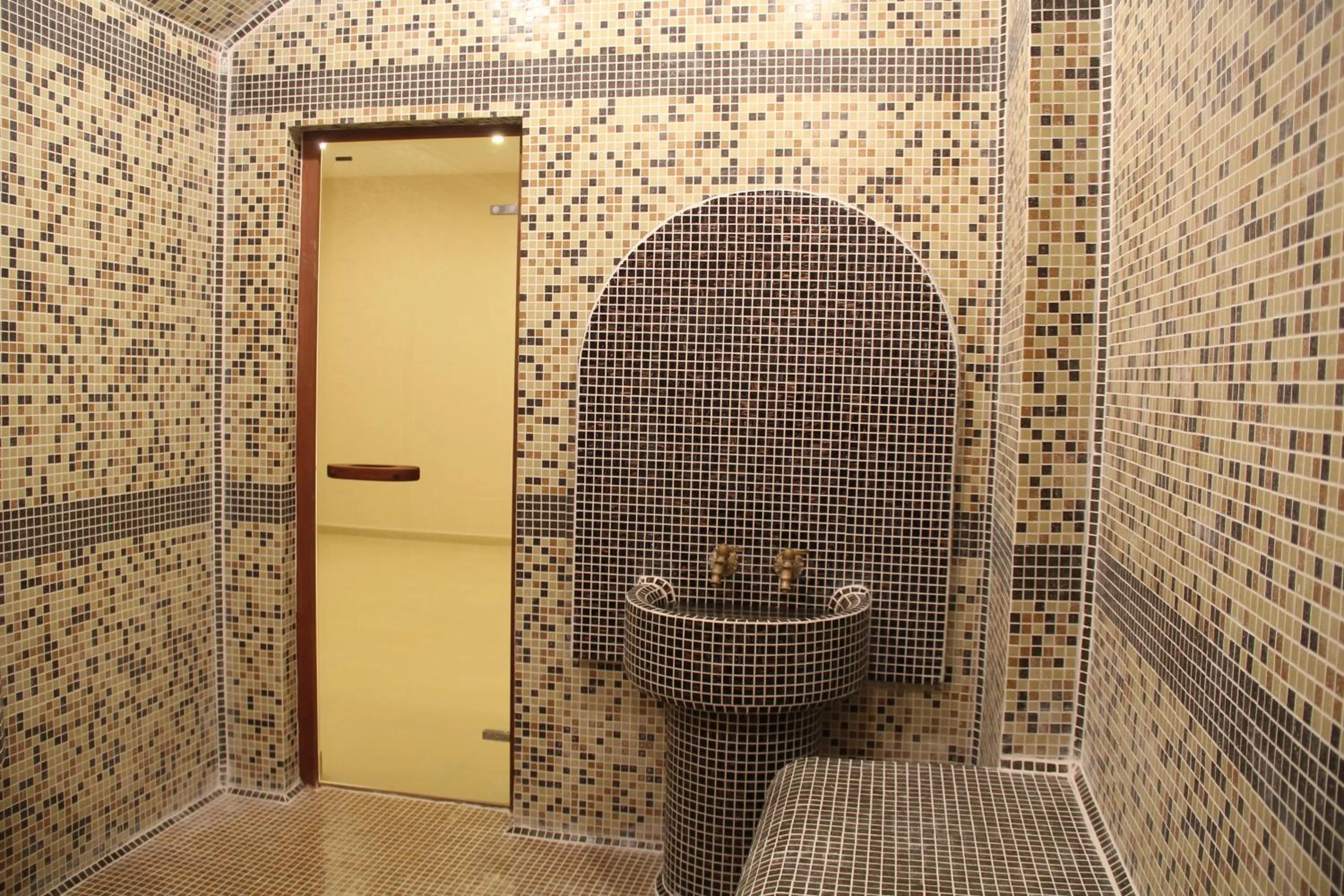 Steam room in Hotel Coop Rozhen