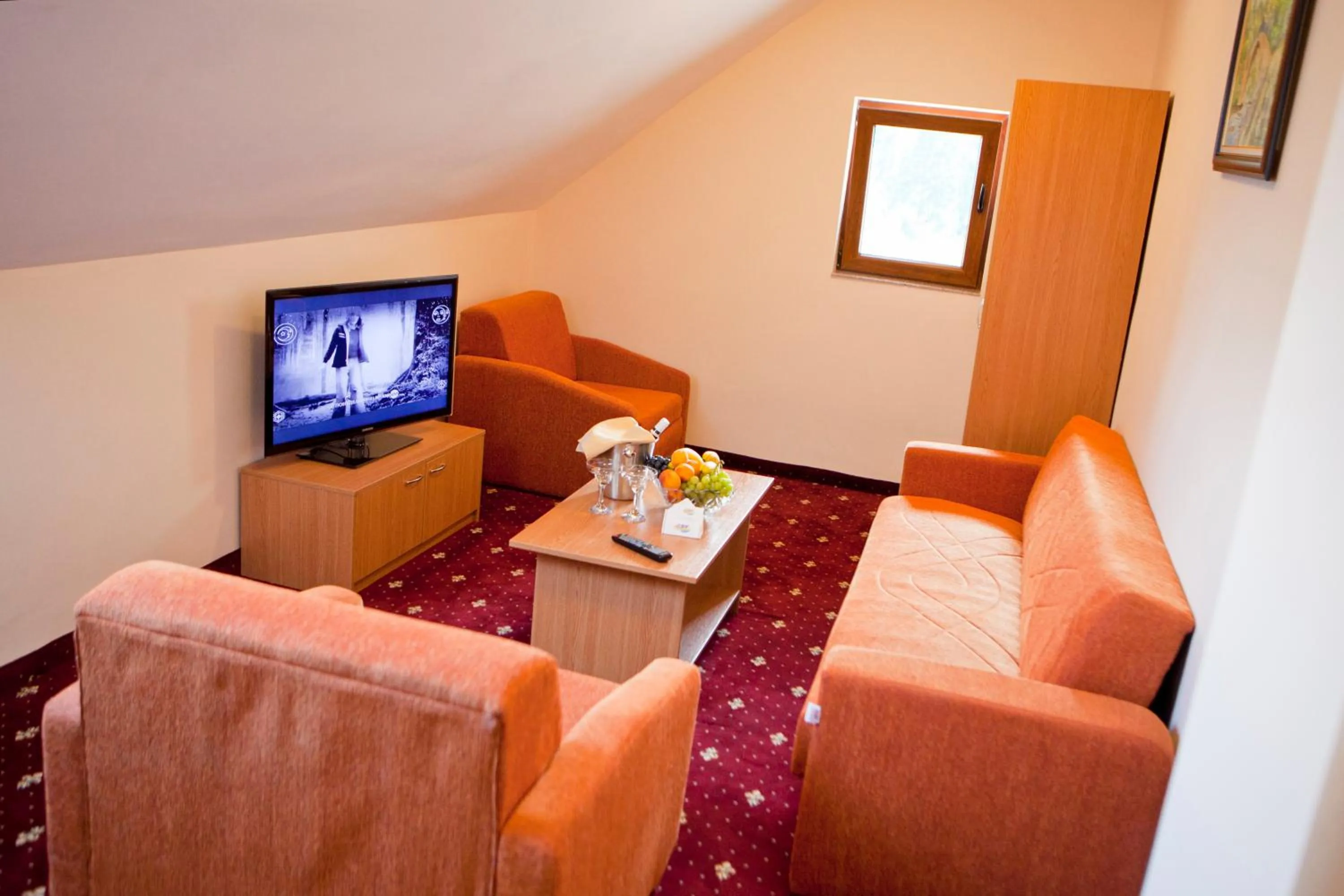 Communal lounge/ TV room in Hotel Coop Rozhen