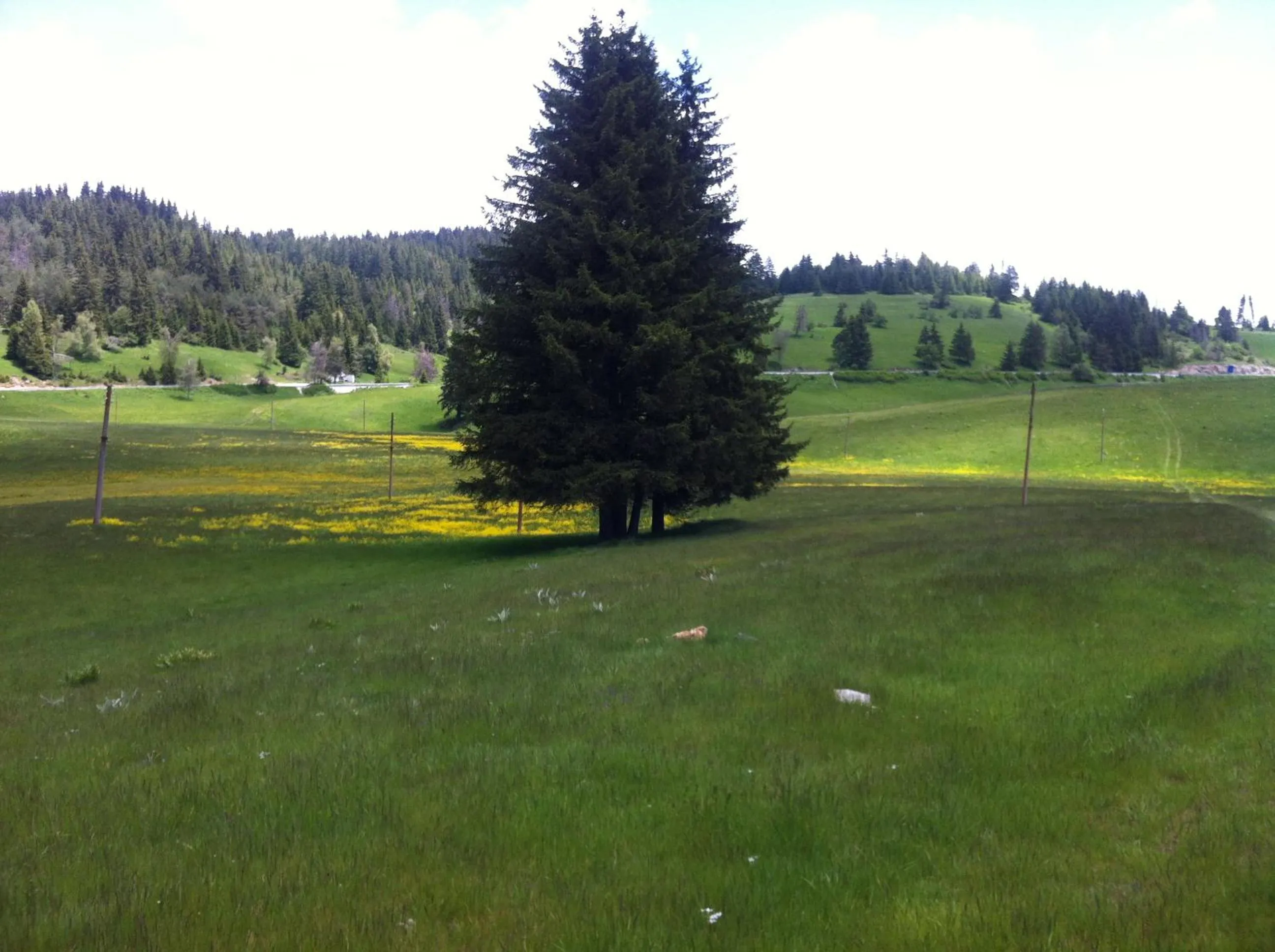 Natural landscape in Hotel Coop Rozhen