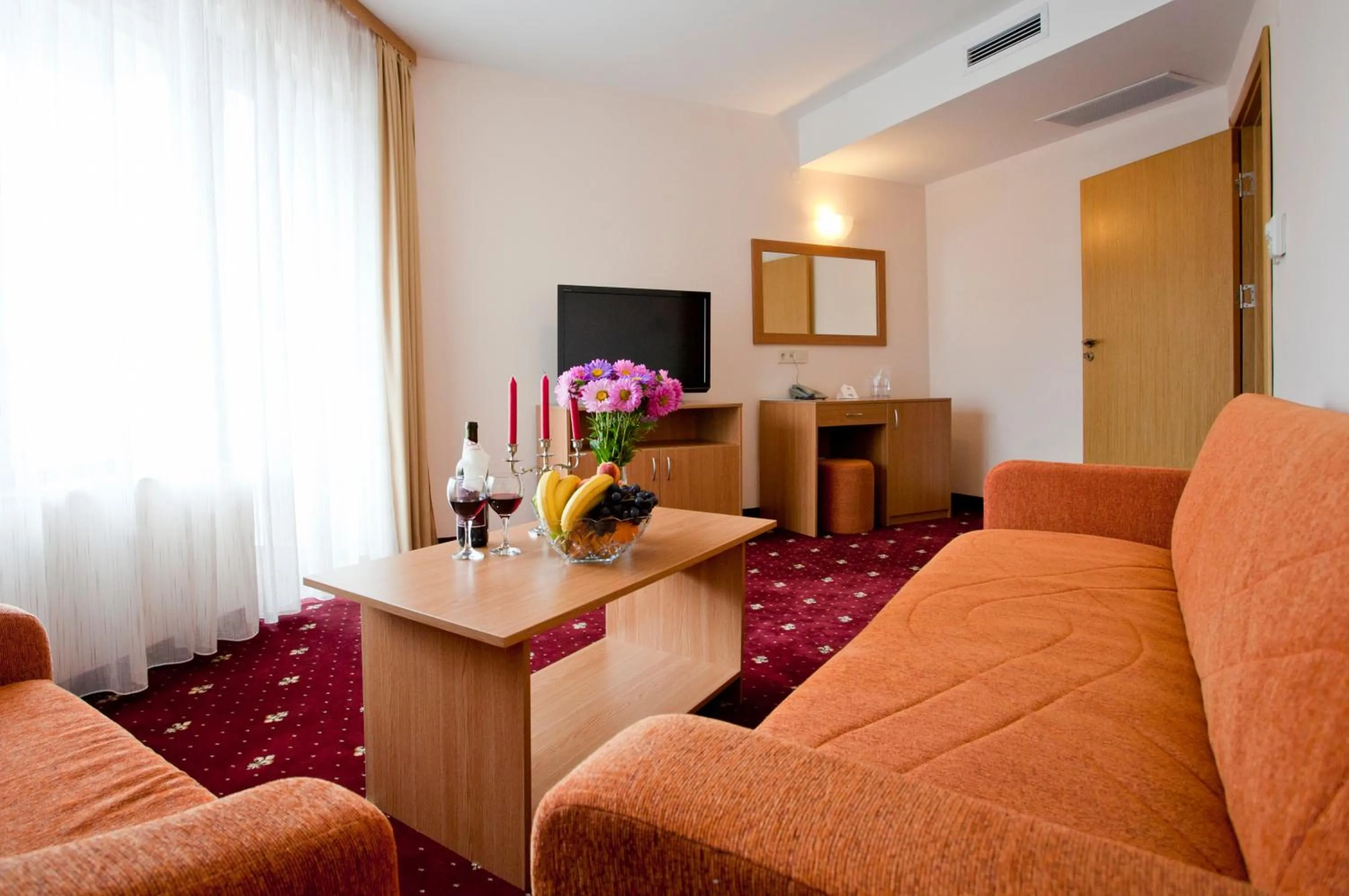 Communal lounge/ TV room in Hotel Coop Rozhen