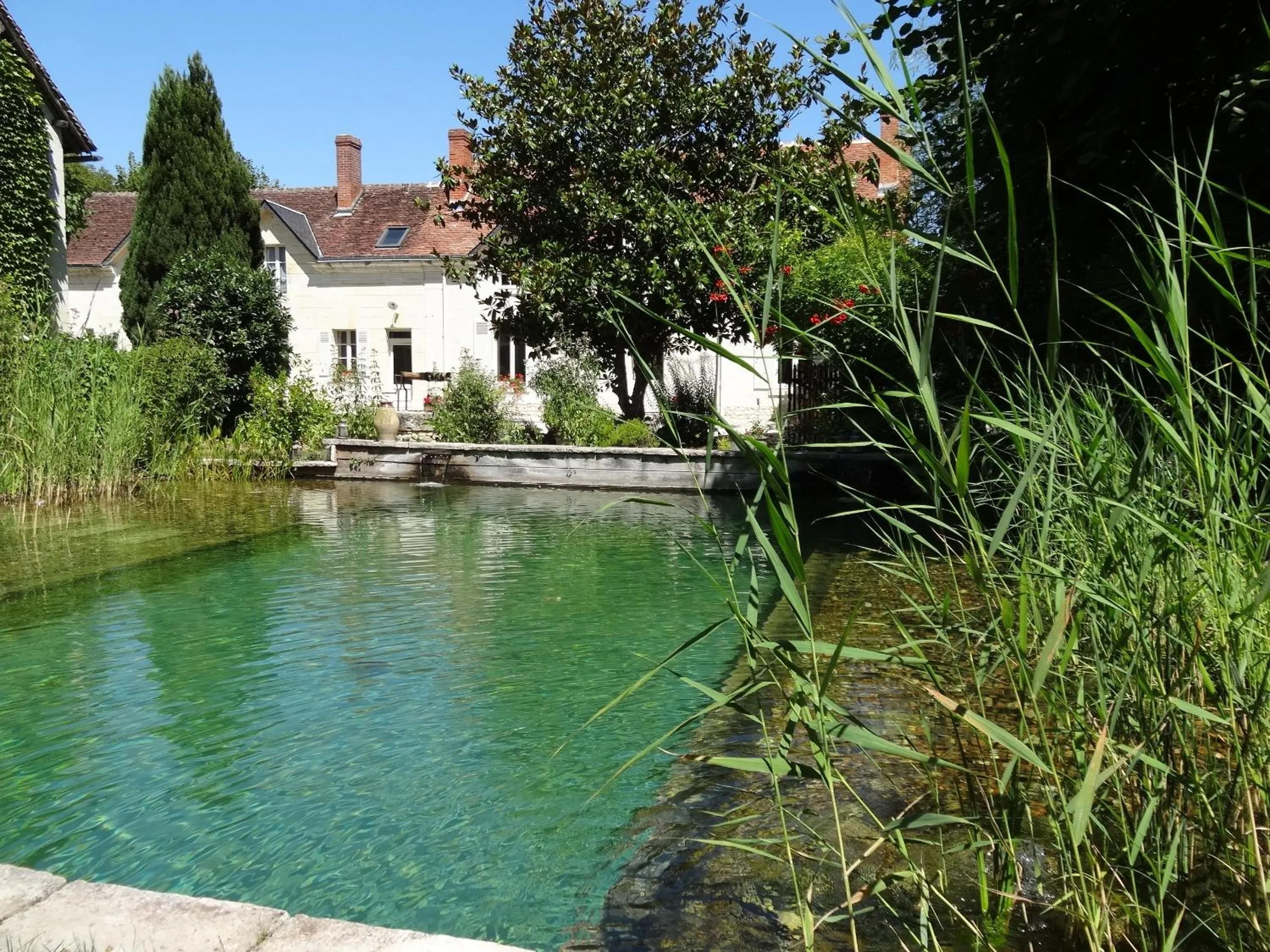 Pool view in Jardin de Canaan