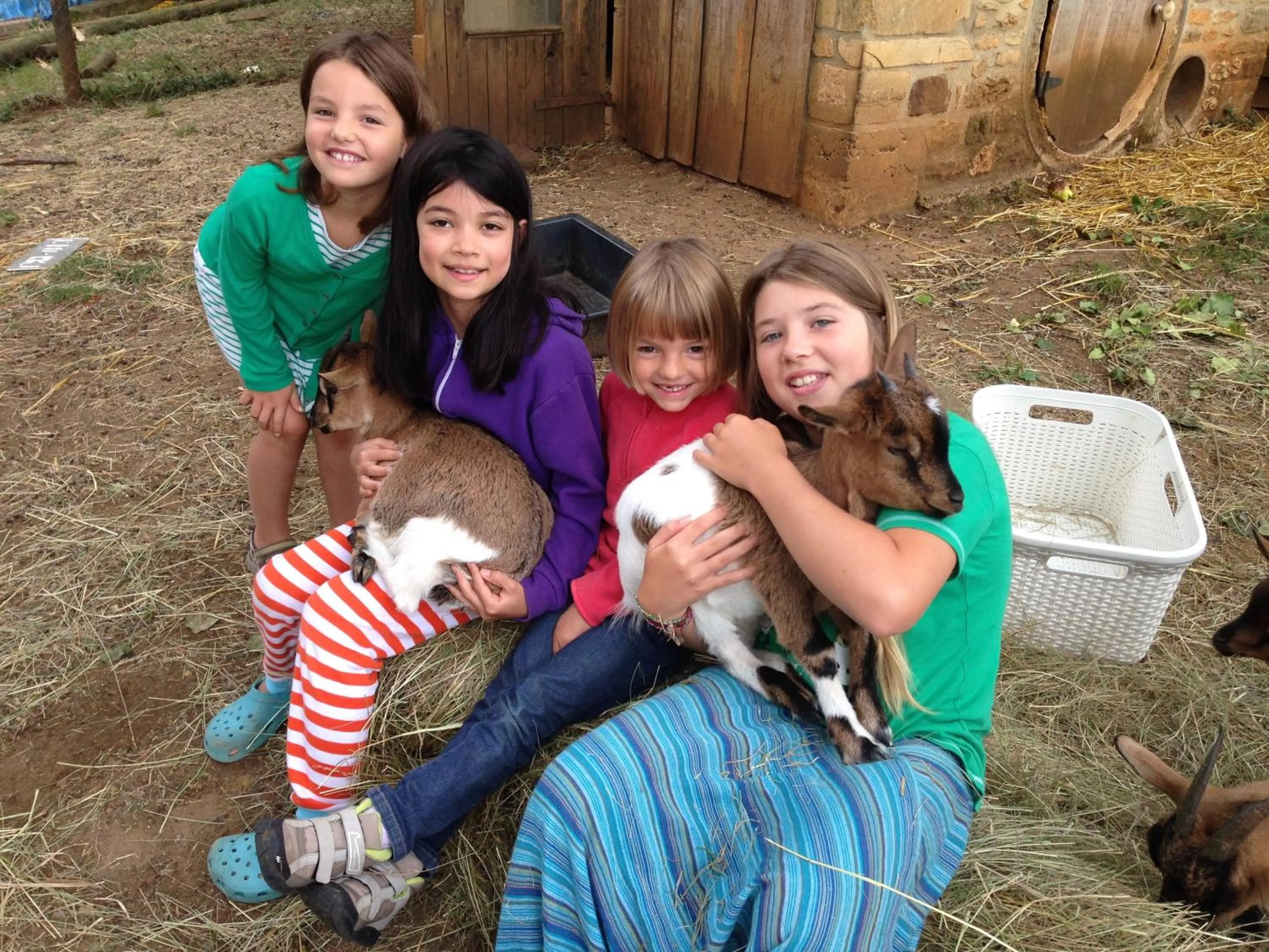 Pets in Lo Petit Cretsou