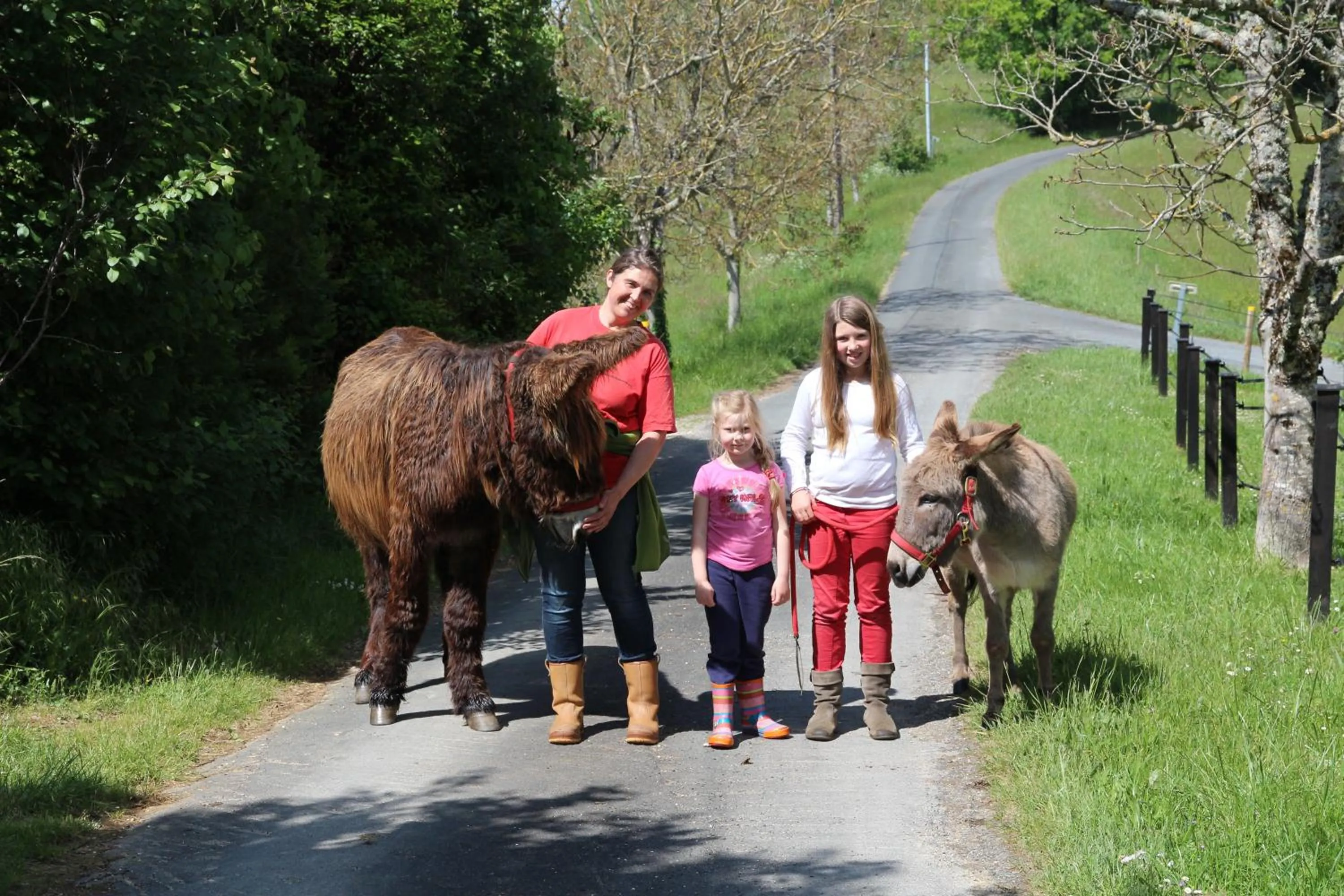 Pets in Lo Petit Cretsou