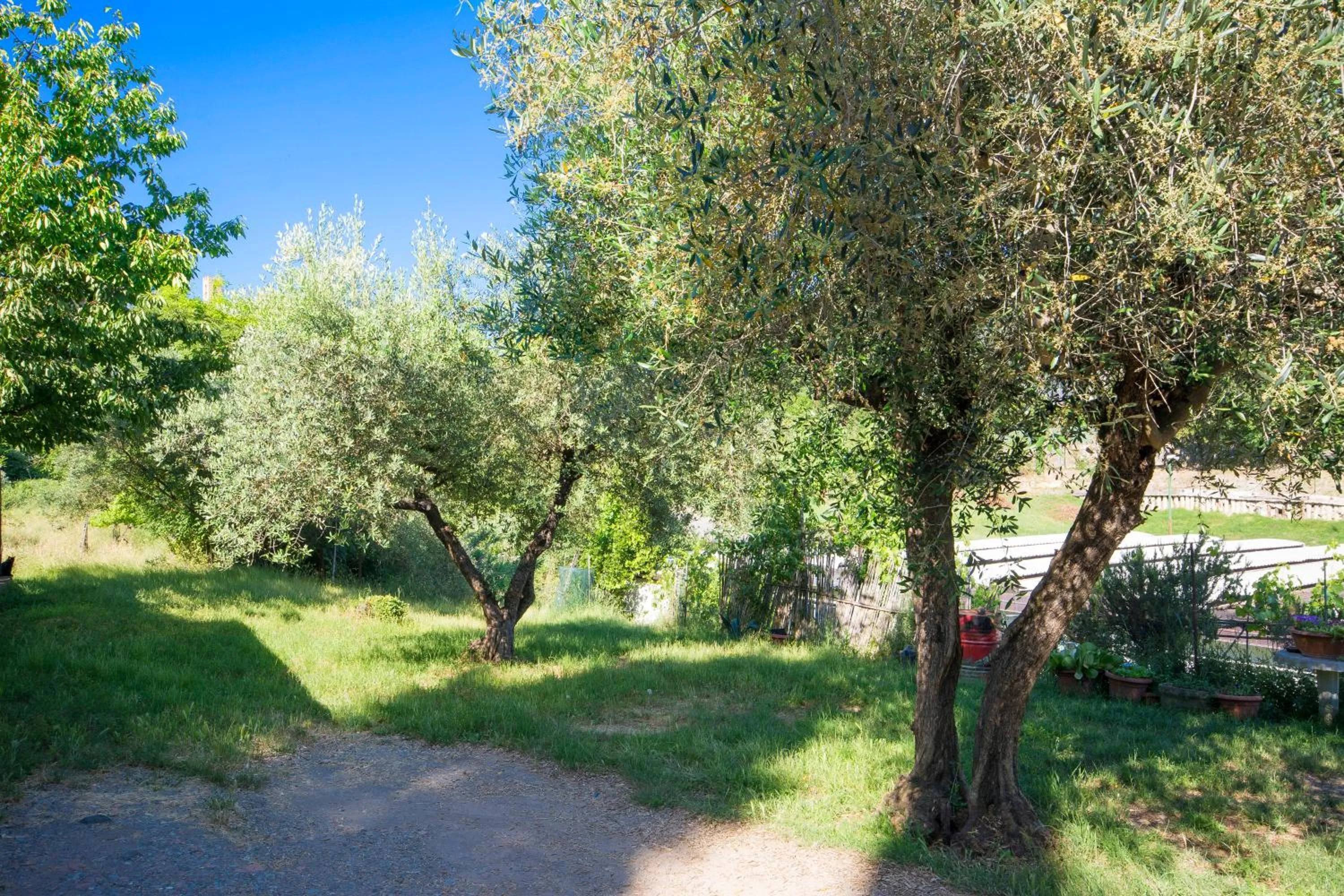 Natural landscape in Dimora Ricceri