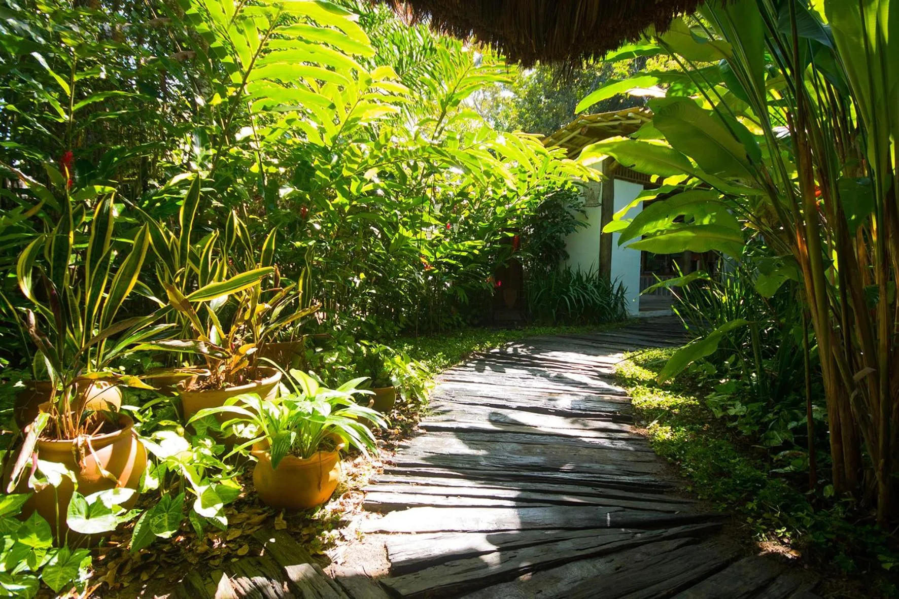 Garden in Hotel Boutique Perainda
