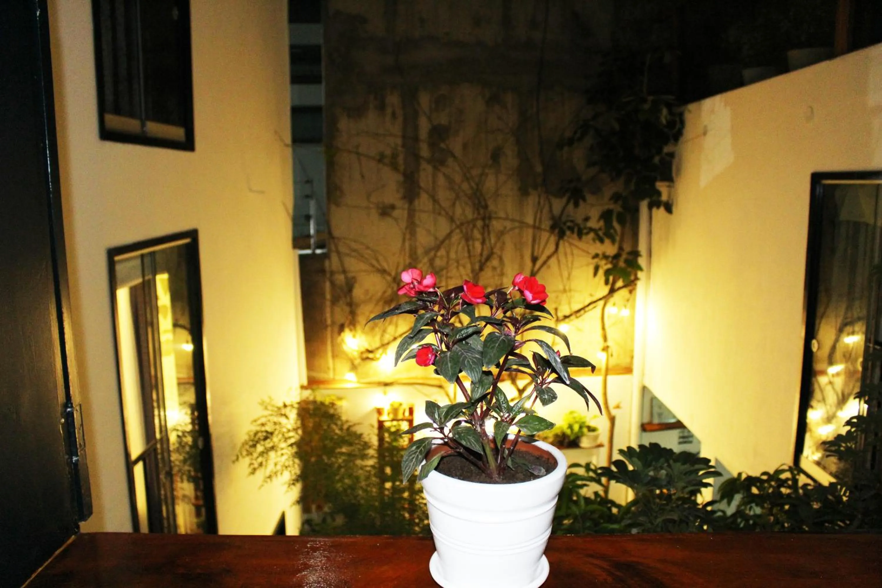 Balcony/Terrace in La Casa del Viajero