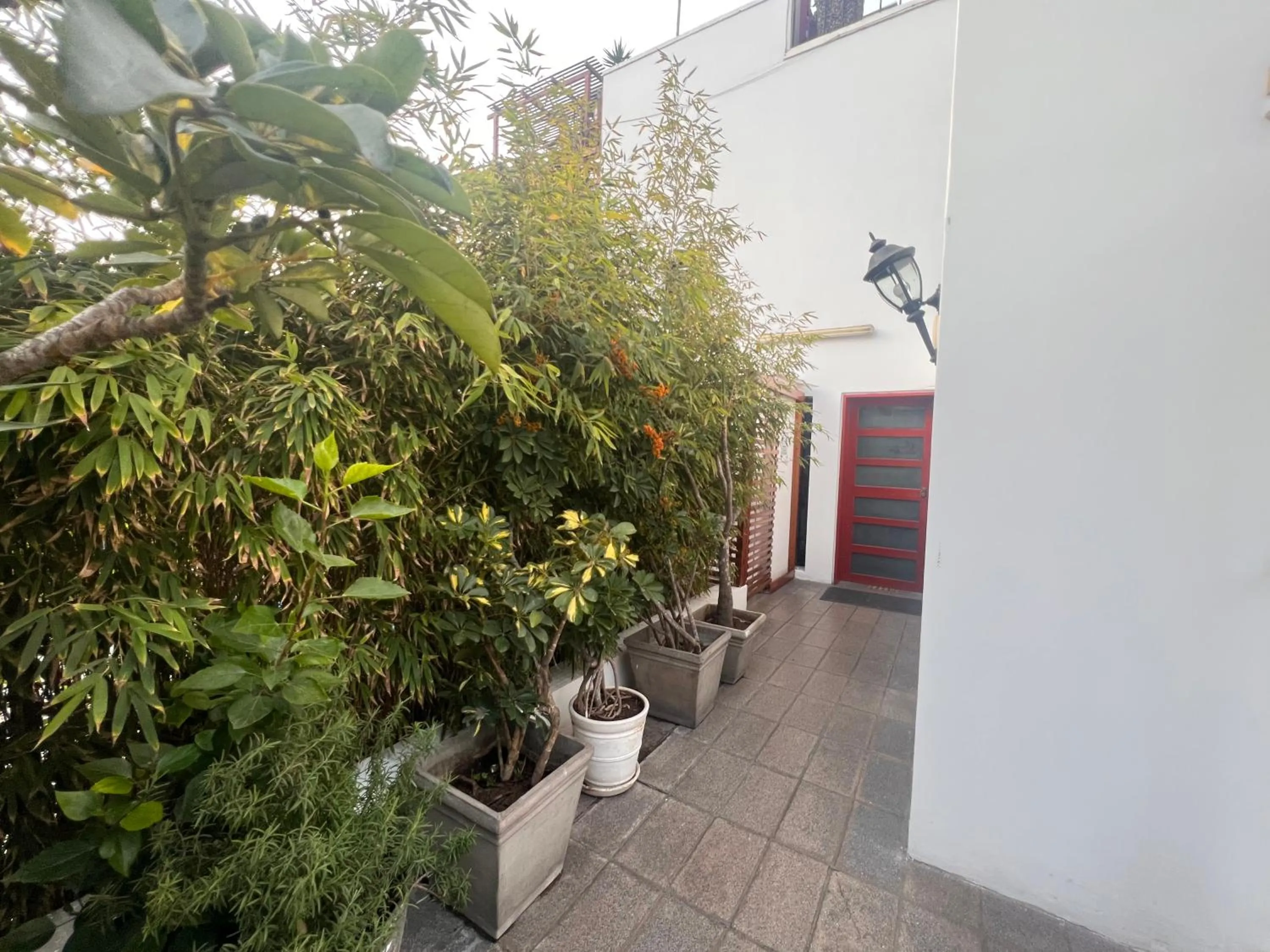 Garden in La Casa del Viajero