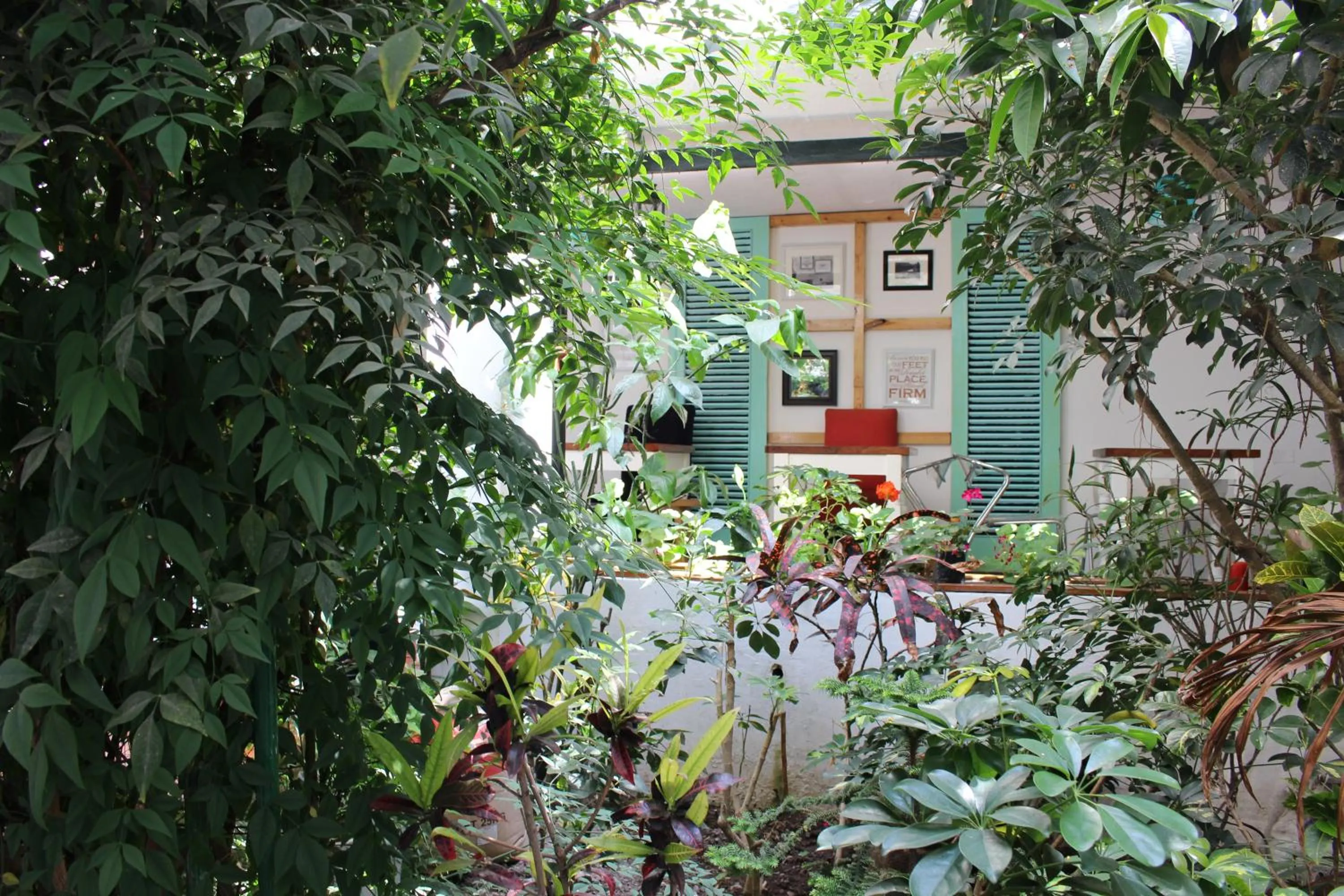 Garden in La Casa del Viajero