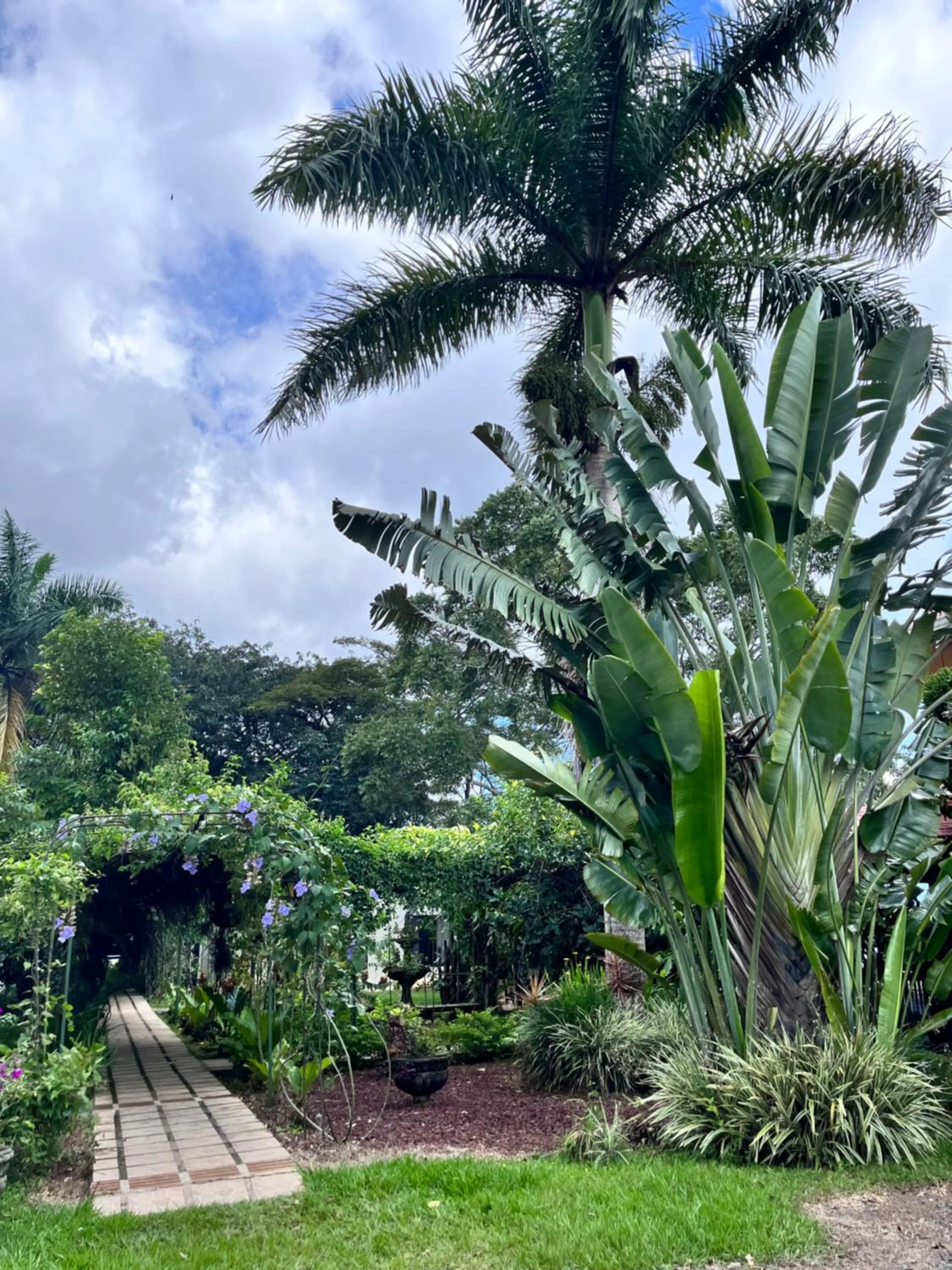 Hotel Villas de la Colina