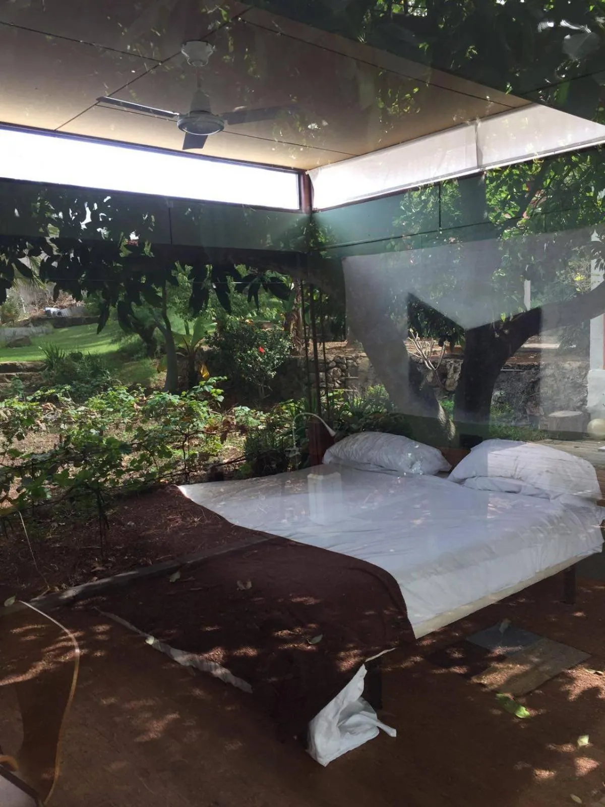 Garden view in Hotel Emblemático Casa Casilda