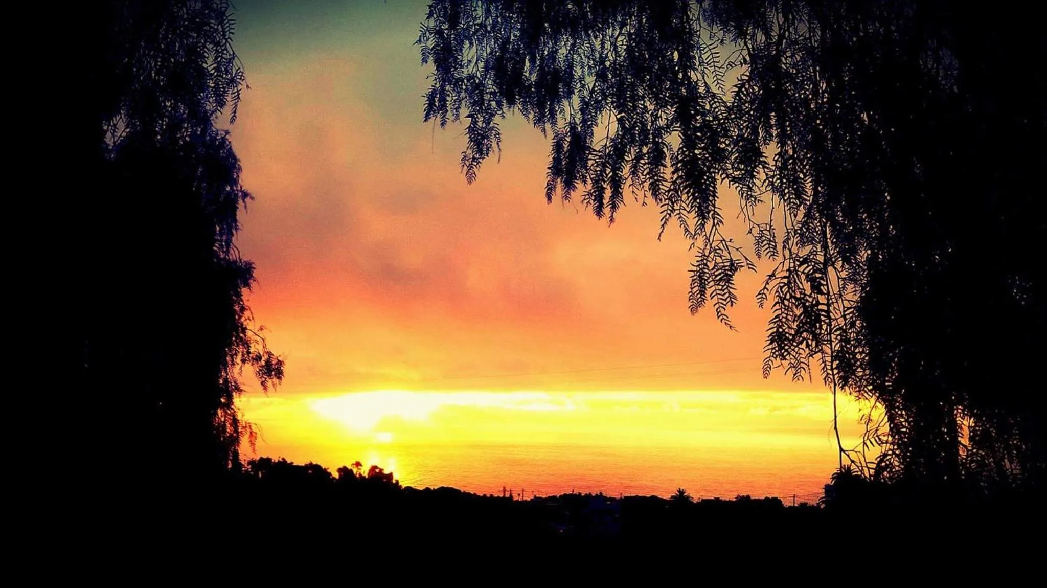 Natural landscape in Hotel Emblemático Casa Casilda