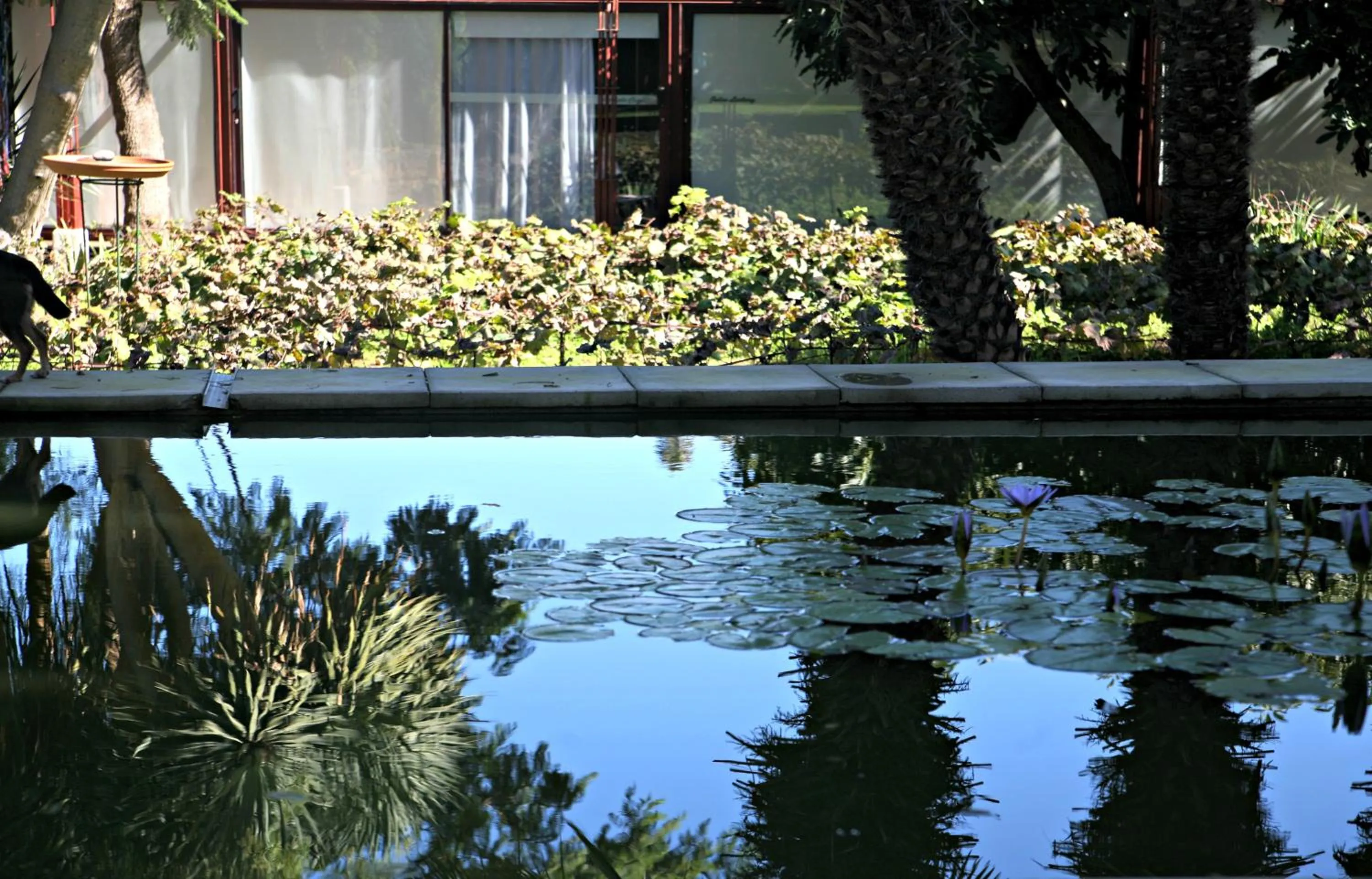 BBQ facilities in Hotel Emblemático Casa Casilda