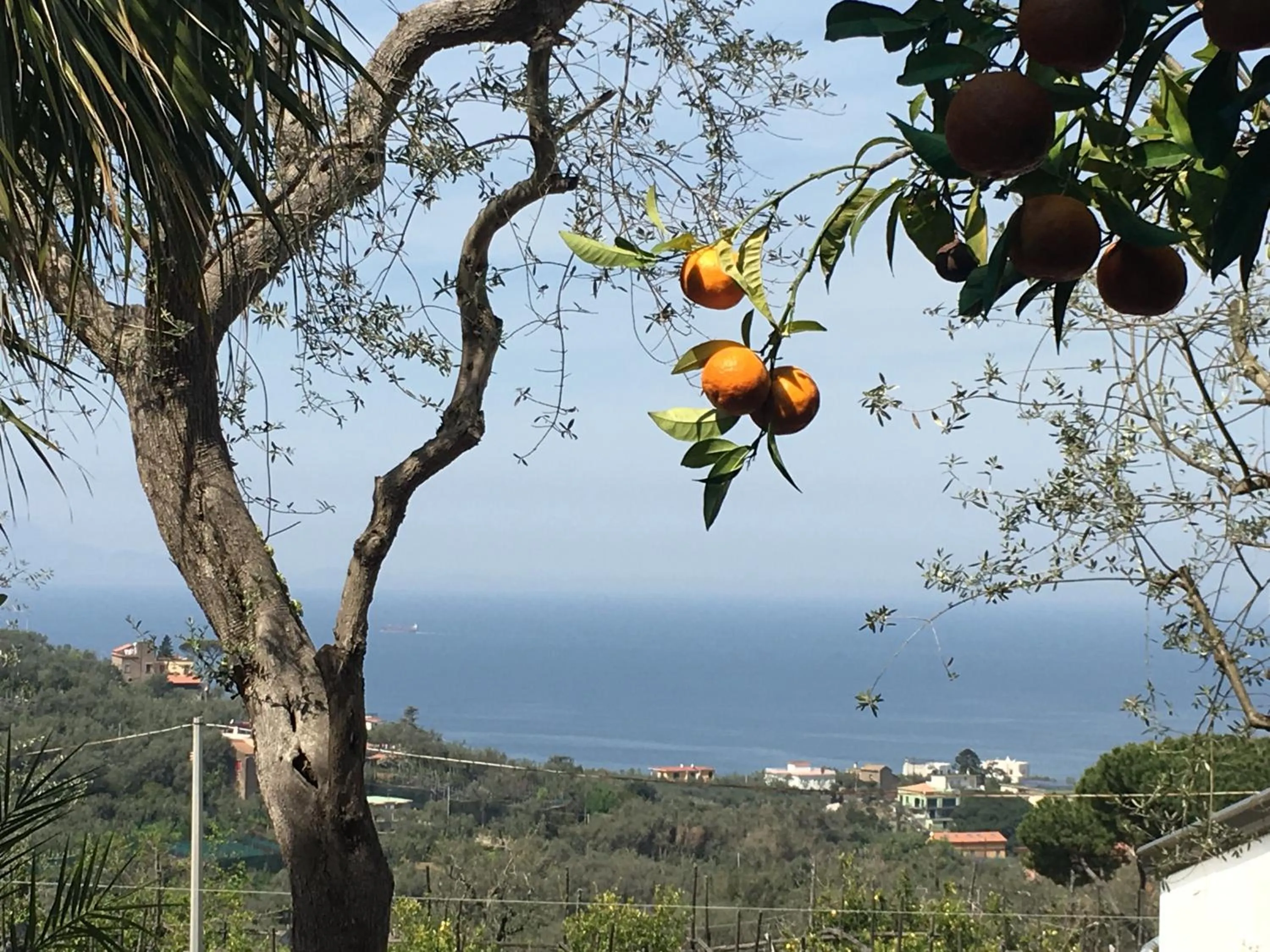 Day in Villa Giovanna