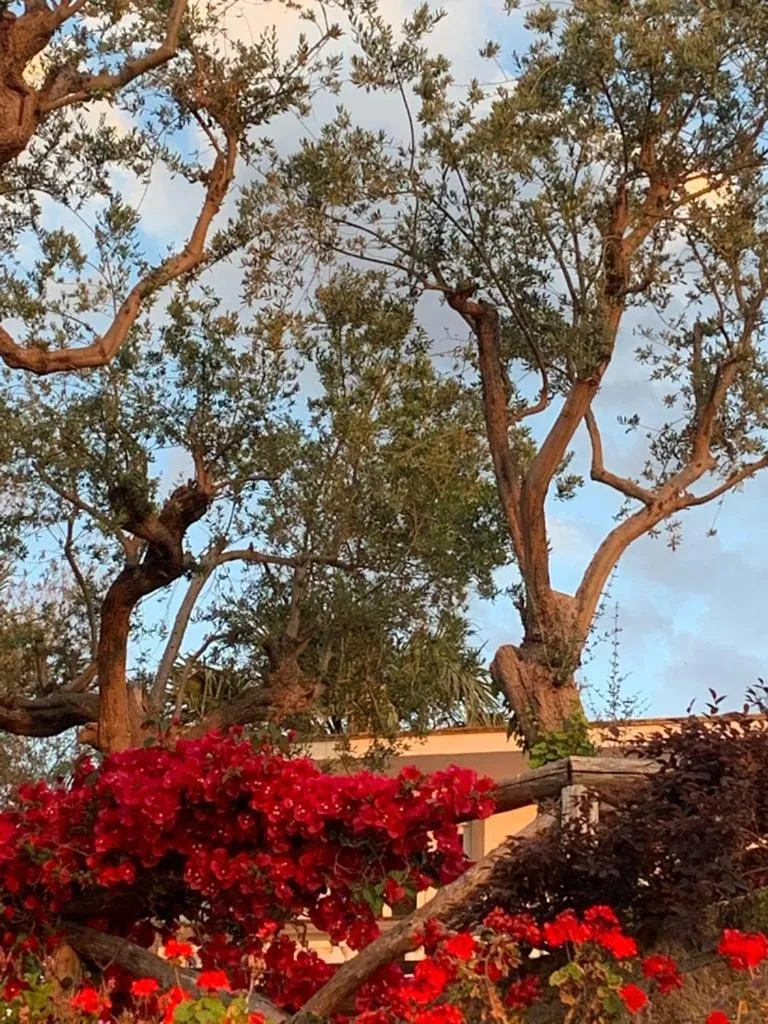 Property building in Villa Giovanna