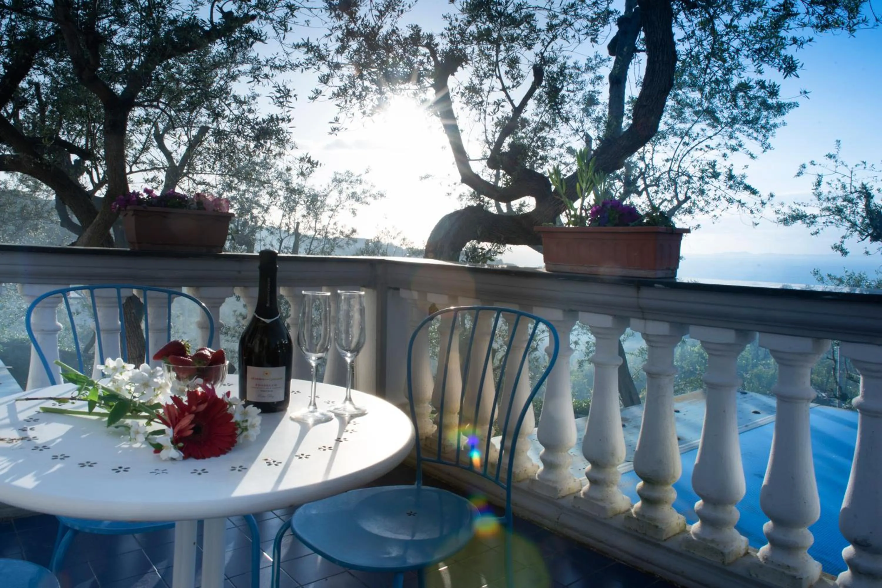 Alcoholic drinks in Villa Giovanna