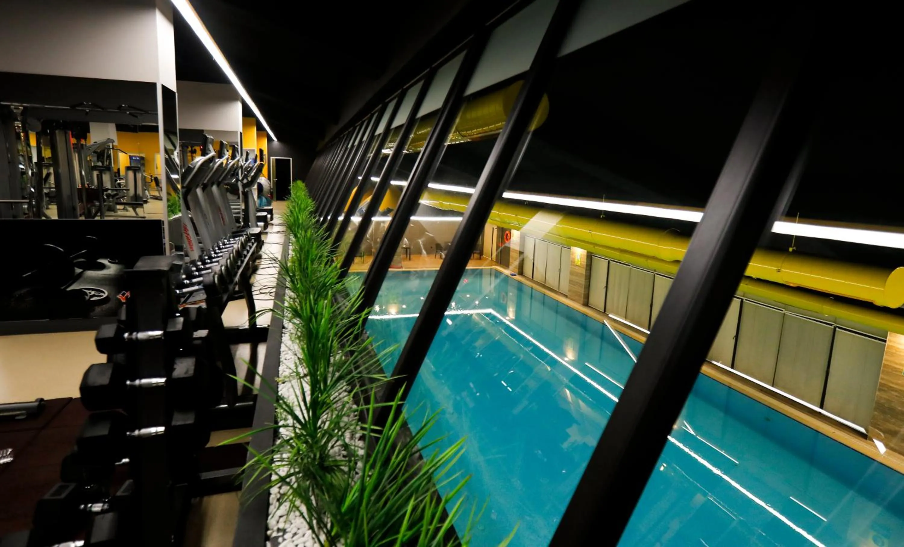 Swimming pool in Fier Life Center