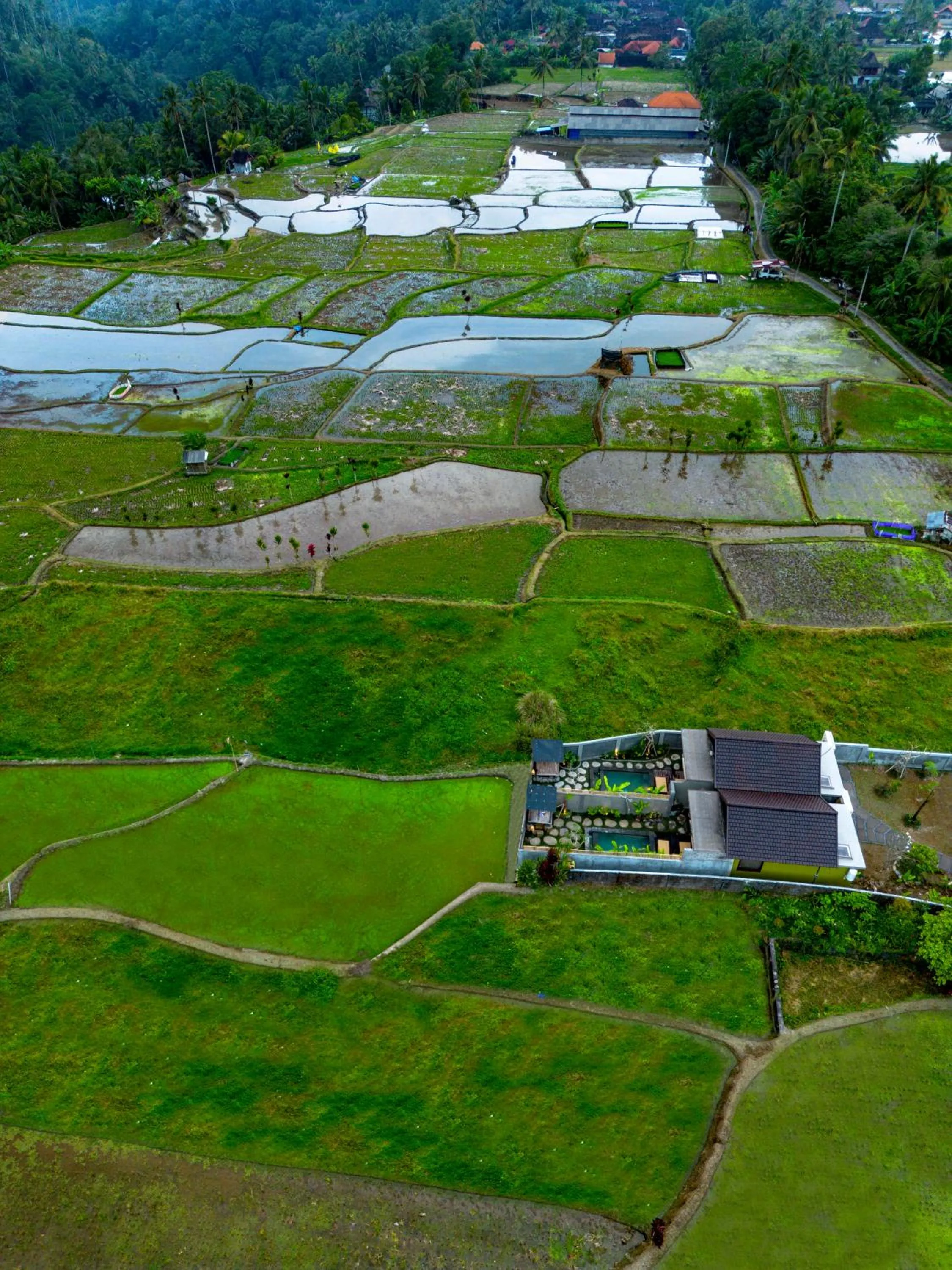 Natural landscape in Shankara Villa Ubud by Dhananjaya Hospitality