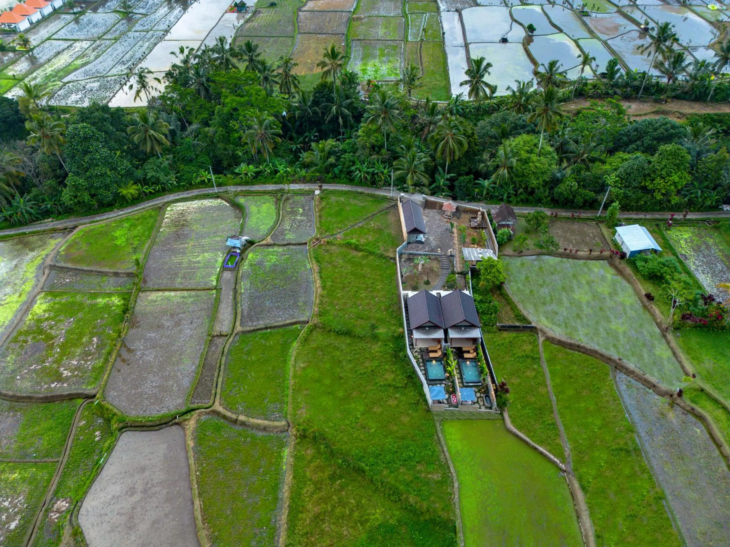 Natural landscape in Shankara Villa Ubud by Dhananjaya Hospitality