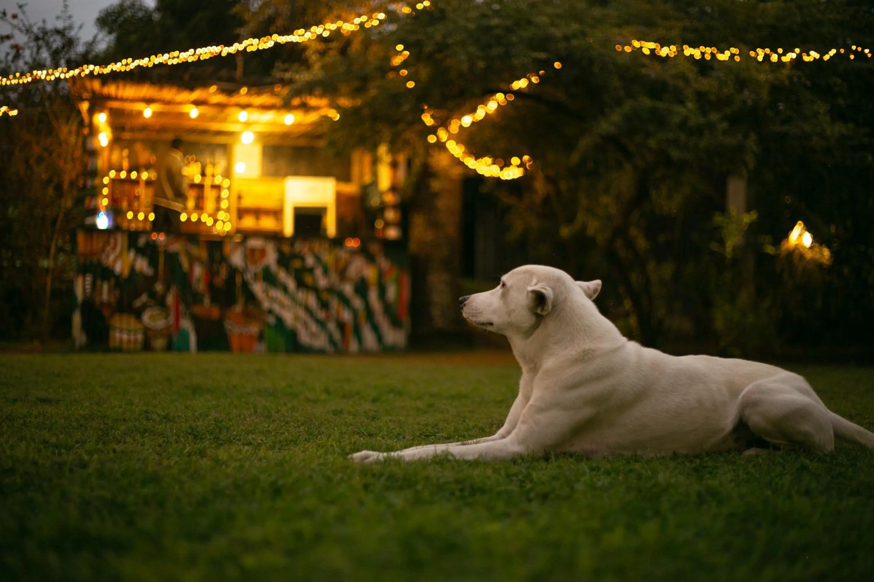 White House of Tanzania