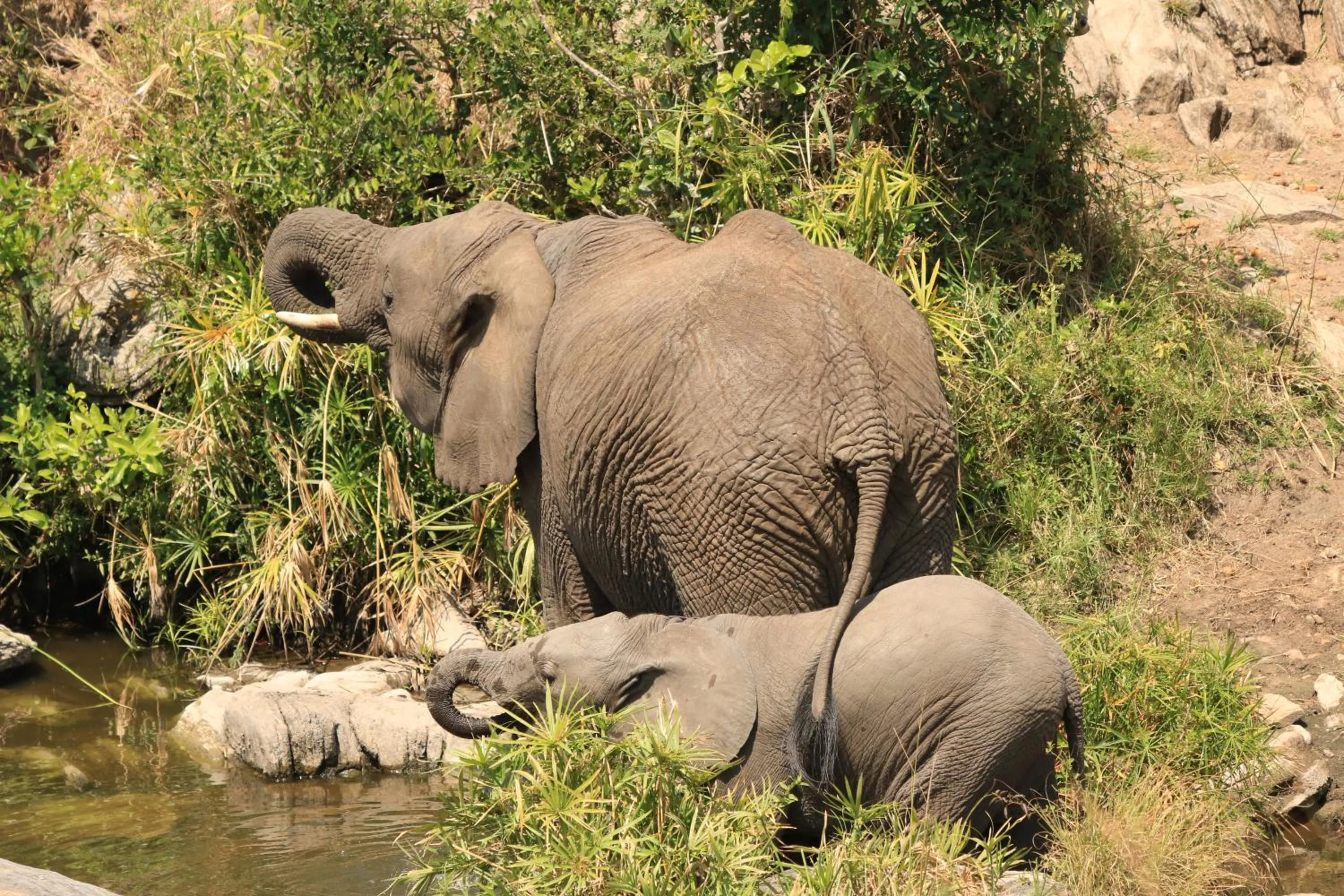 White House of Tanzania