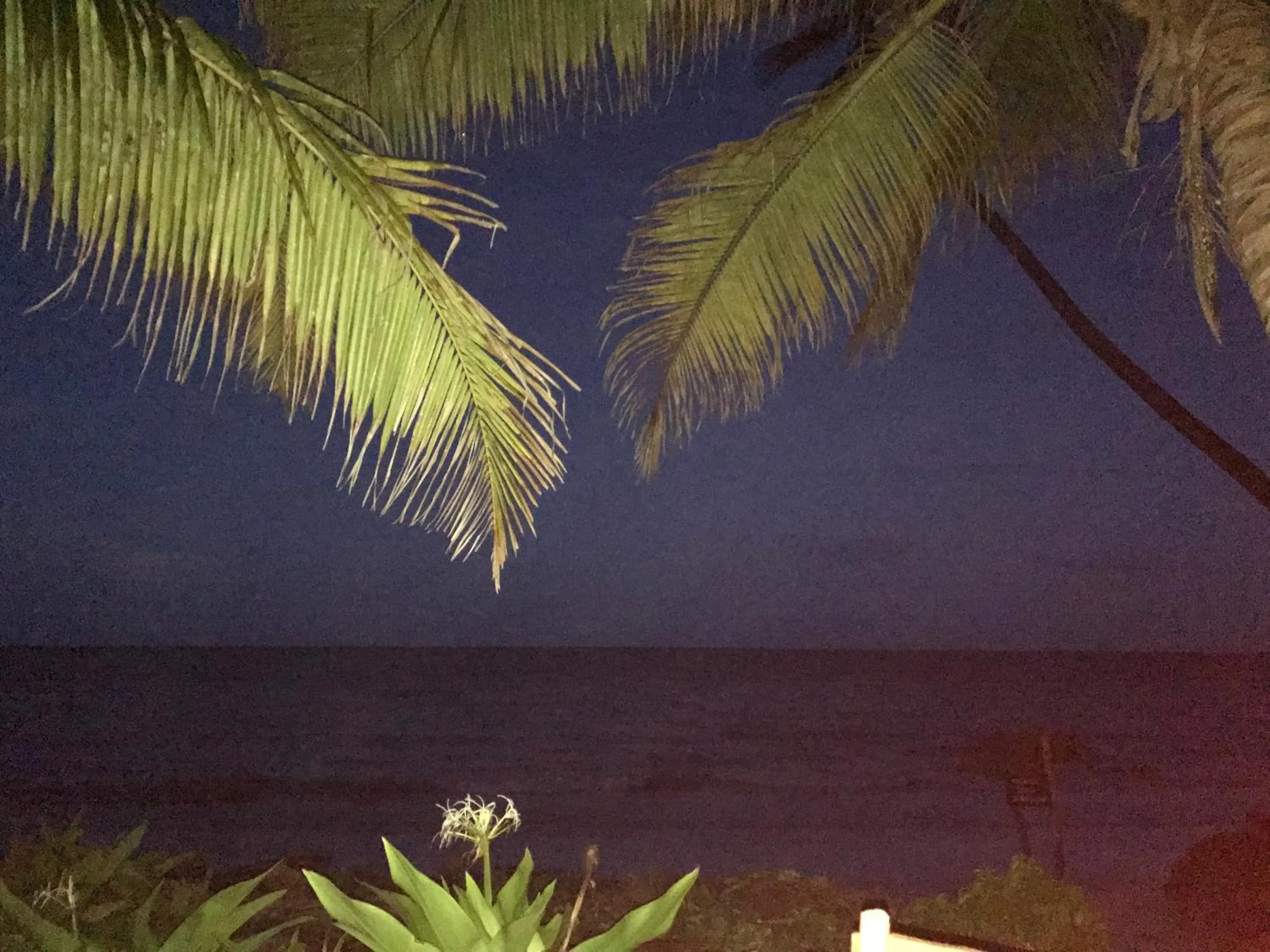 Beach in Paradise Beach Bungalows