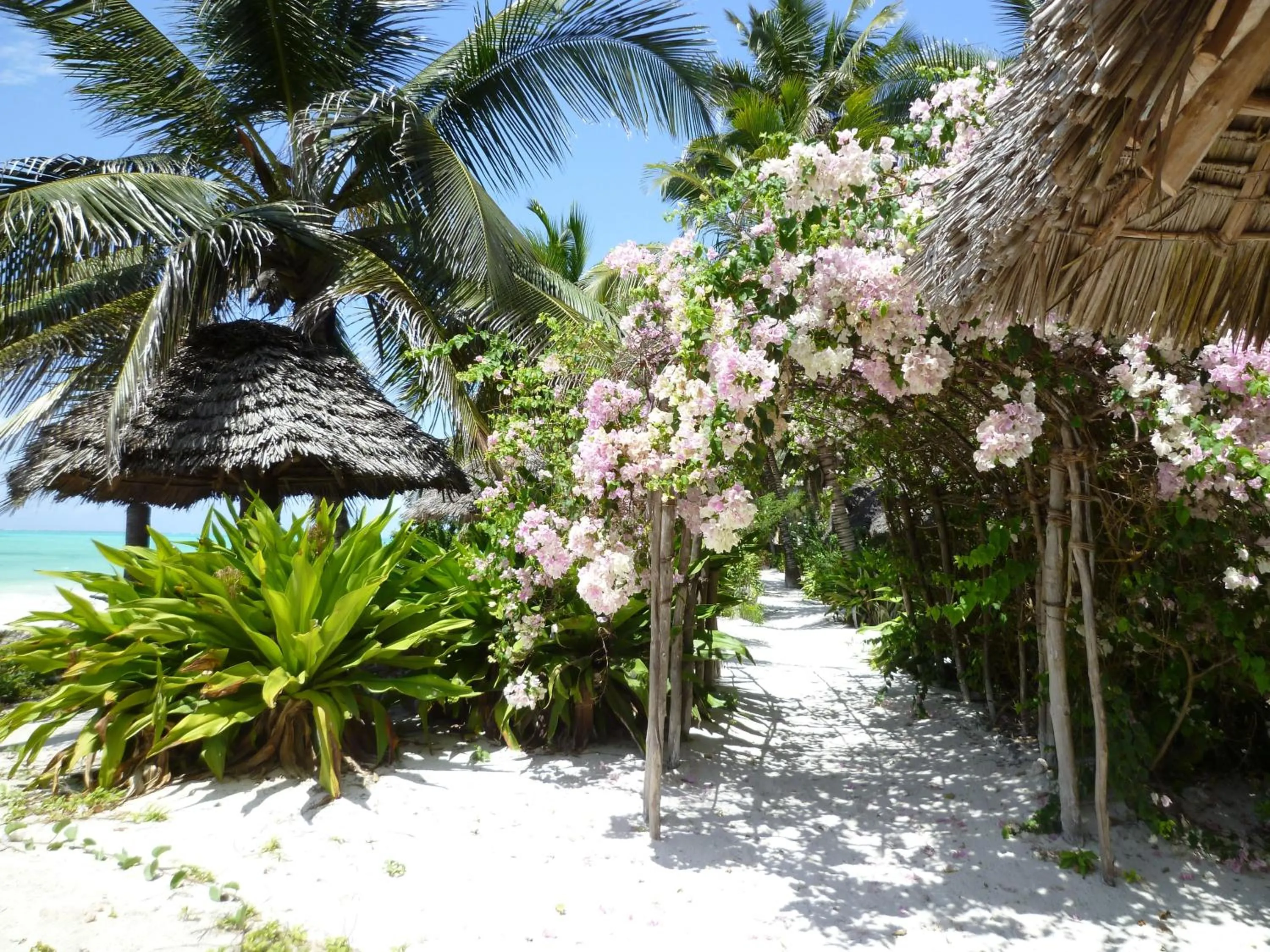 Natural landscape in Paradise Beach Bungalows