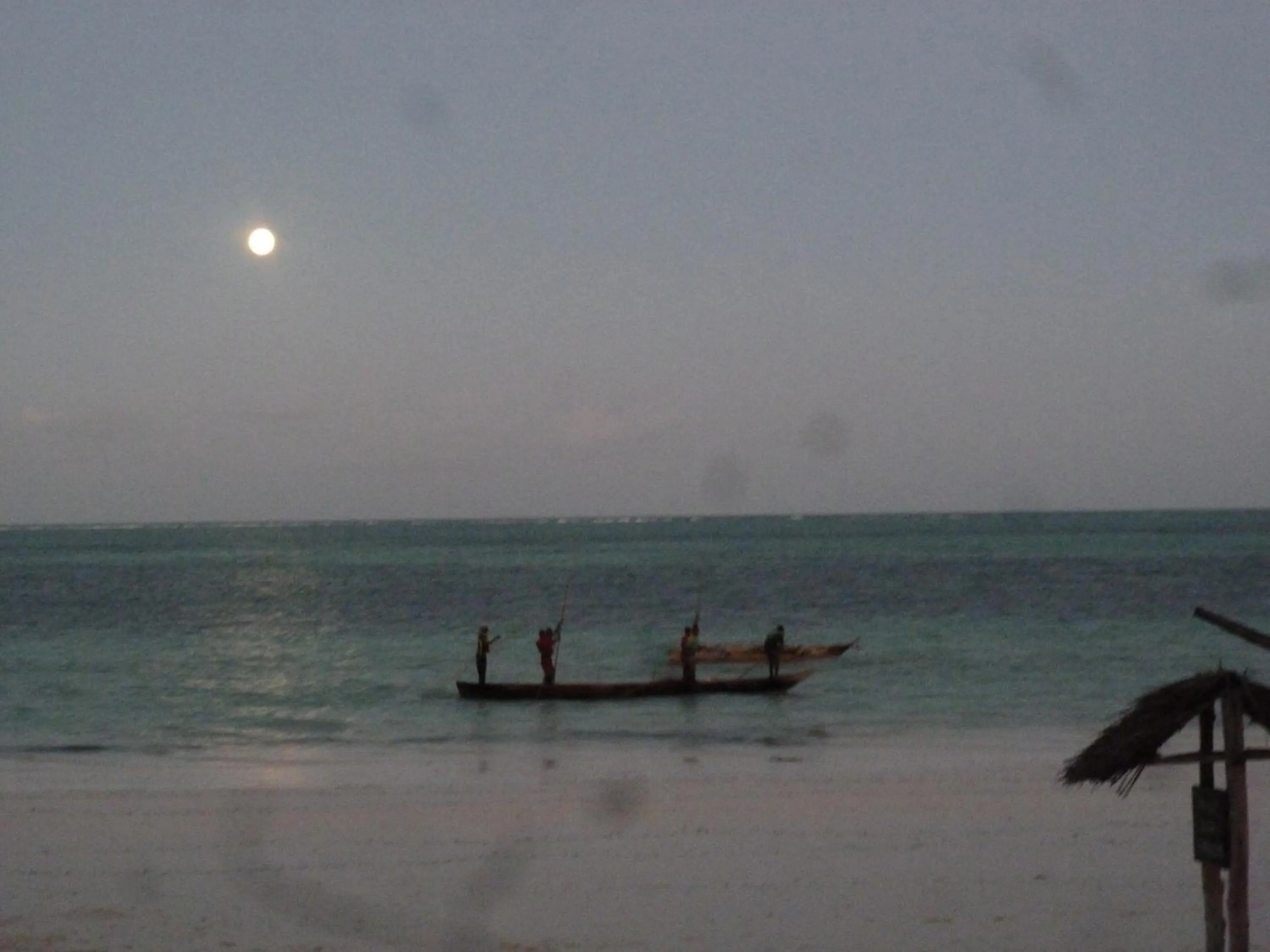 People in Paradise Beach Bungalows