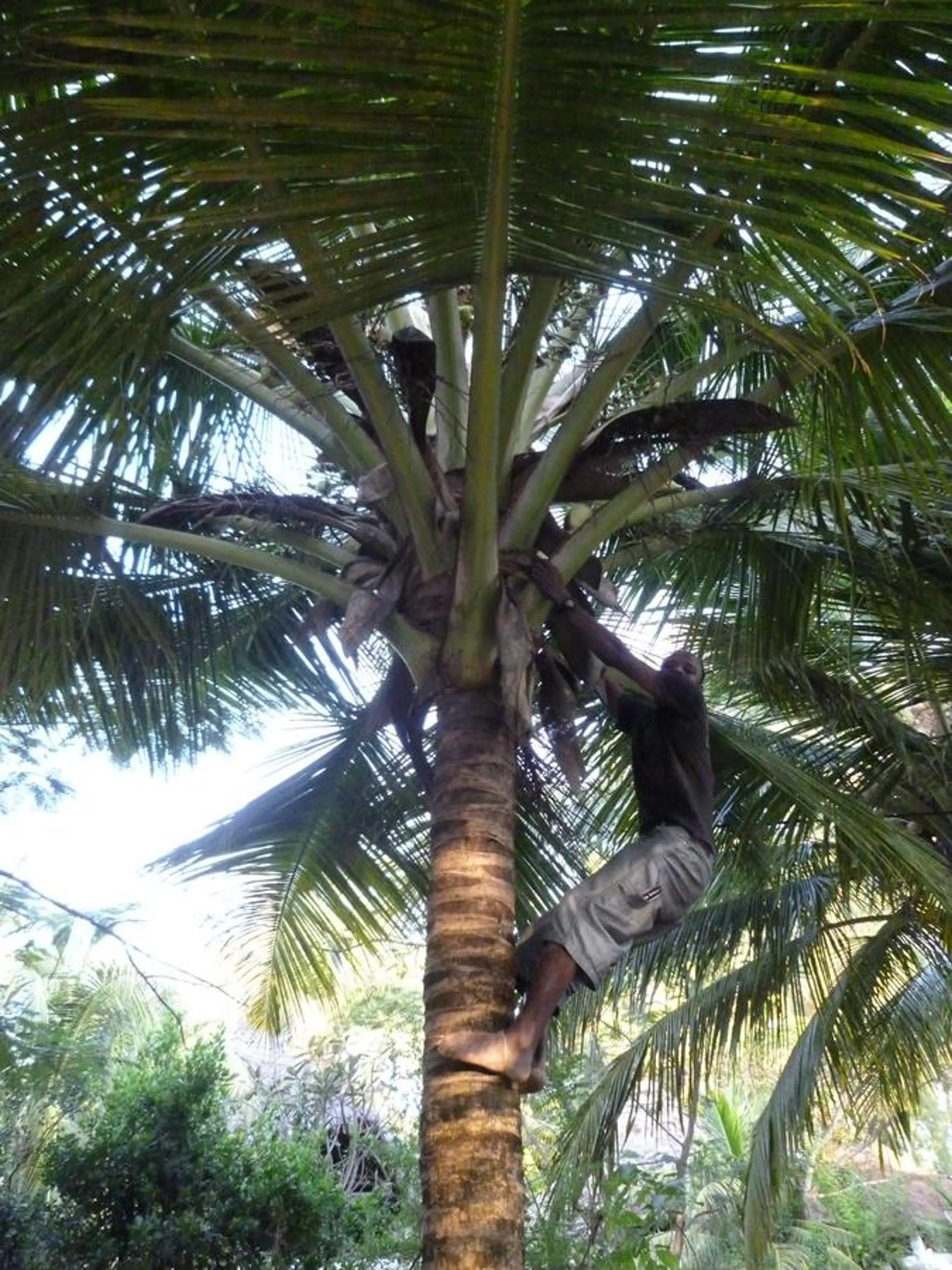 Staff in Paradise Beach Bungalows