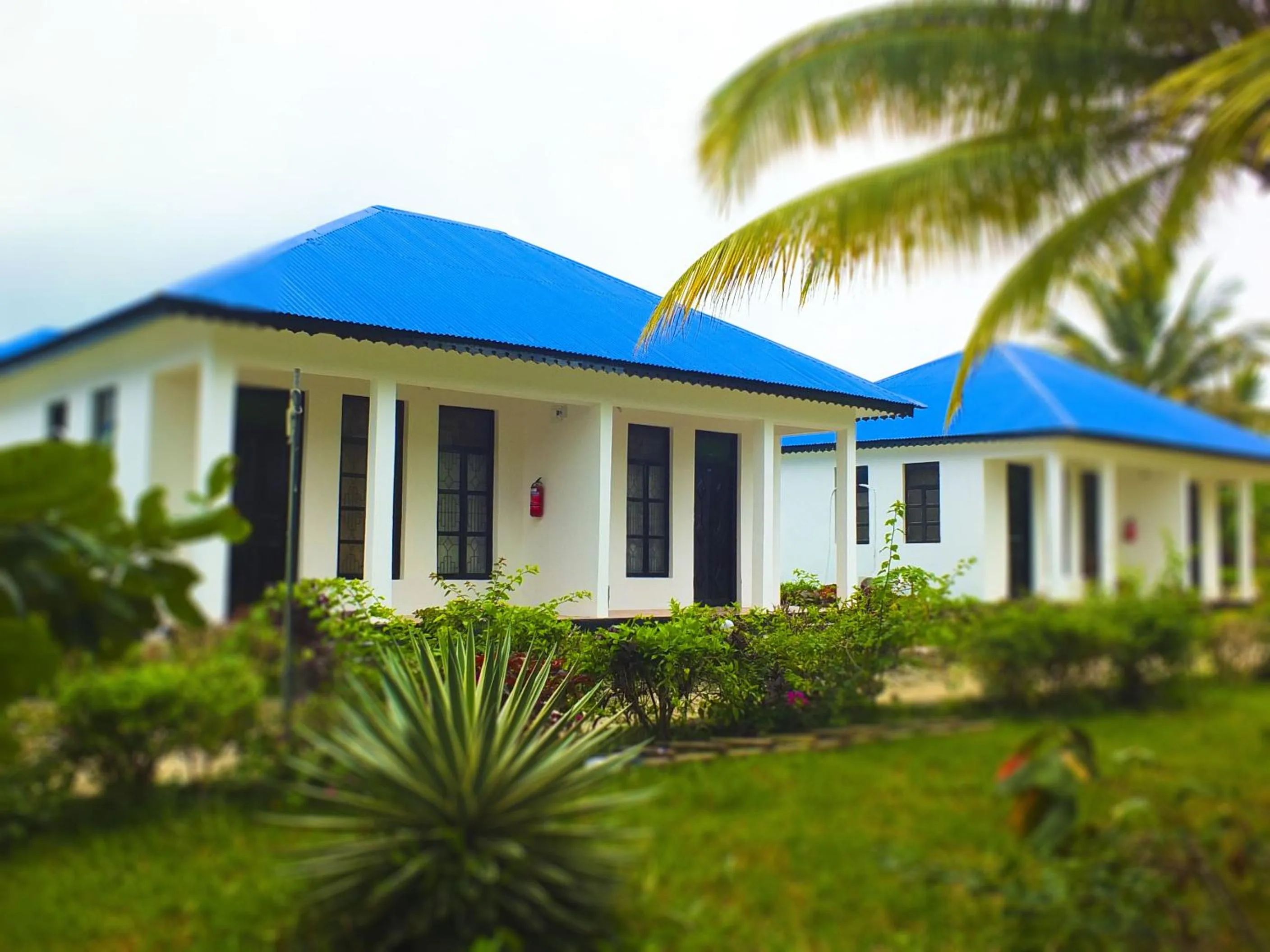 Garden in Kigwedeni Villas