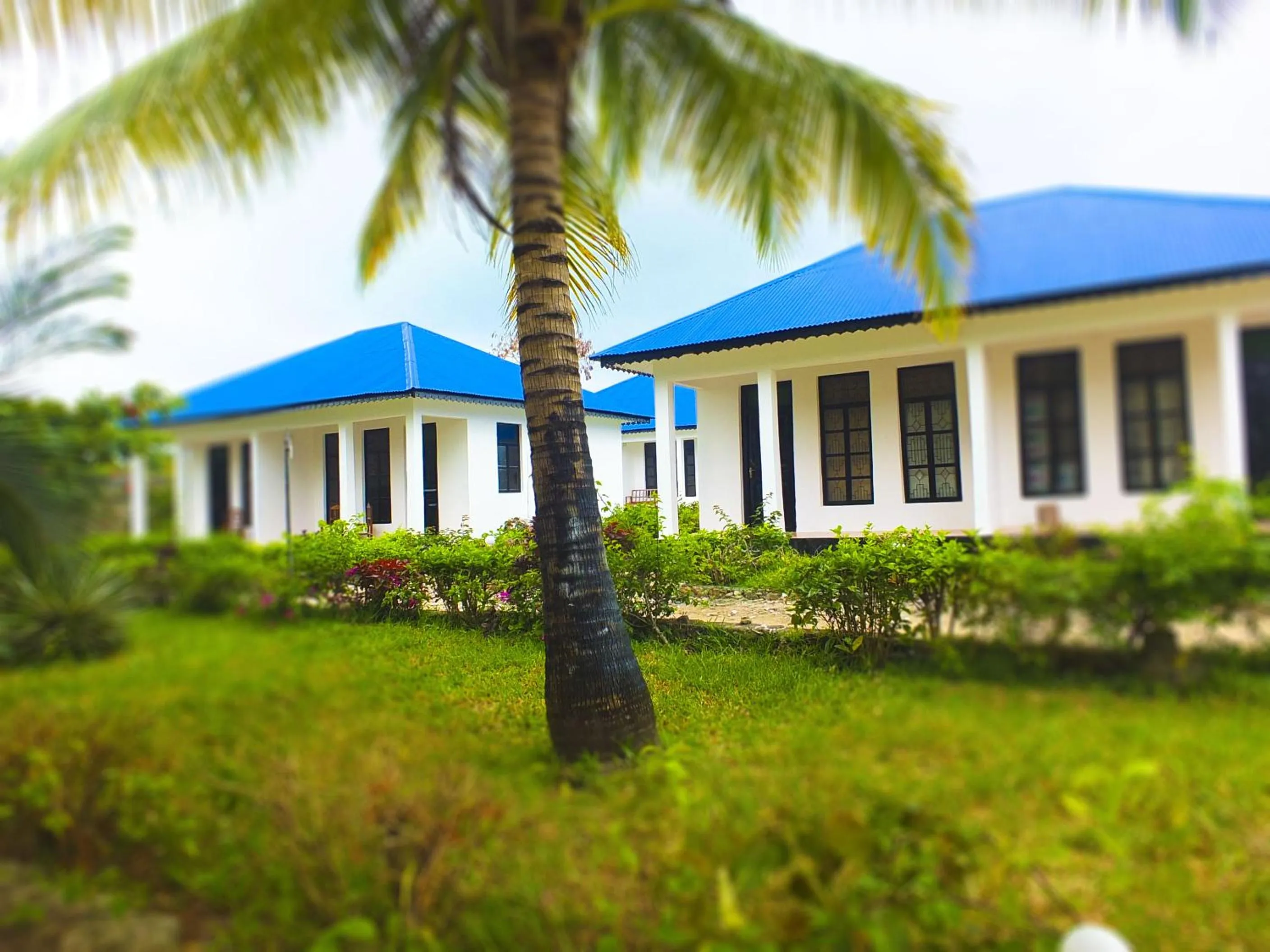 Day in Kigwedeni Villas